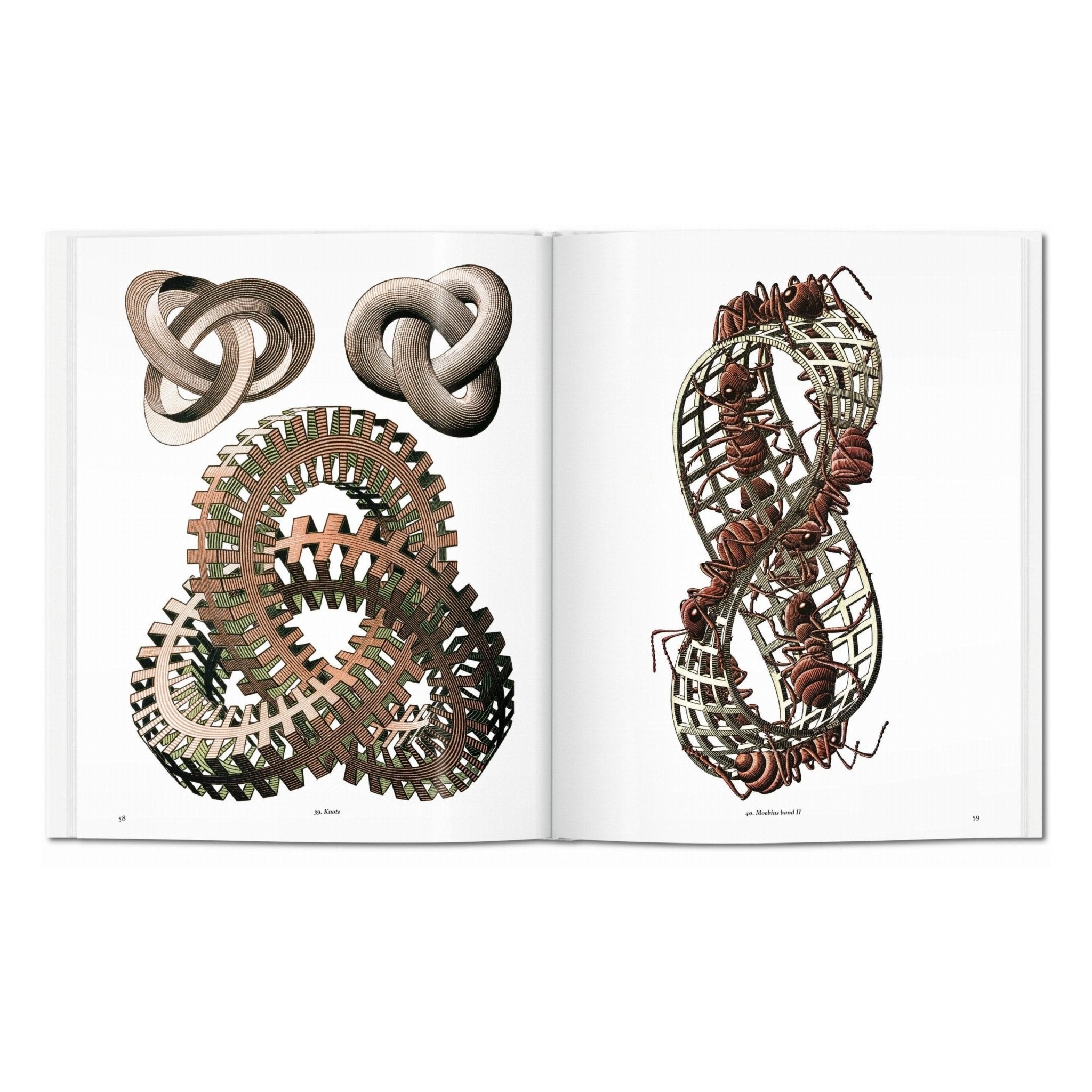 M.C. Escher. The Graphic Work (English)-POPvault