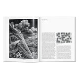 M.C. Escher. The Graphic Work (English)-POPvault