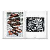 M.C. Escher. The Graphic Work (English)-POPvault