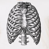 Men's Ribs Anatomy T-Shirt - POPvault