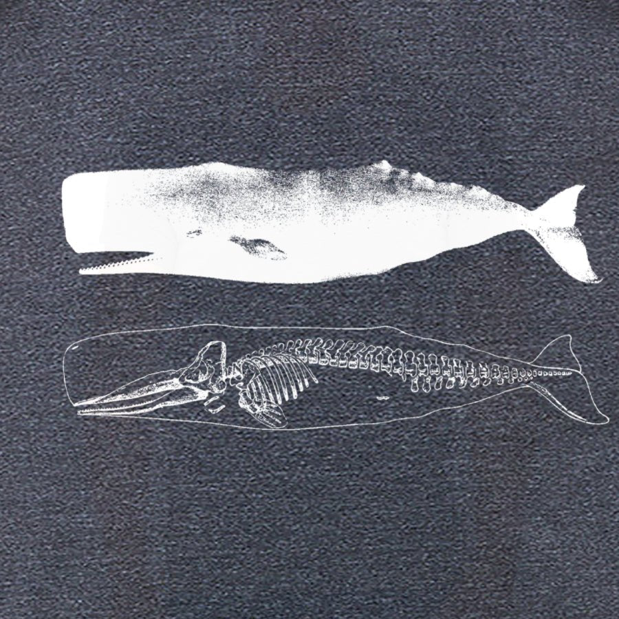 Men's Whale Skeleton T-Shirt - POPvault
