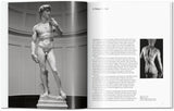Michelangelo (English) - POPvault