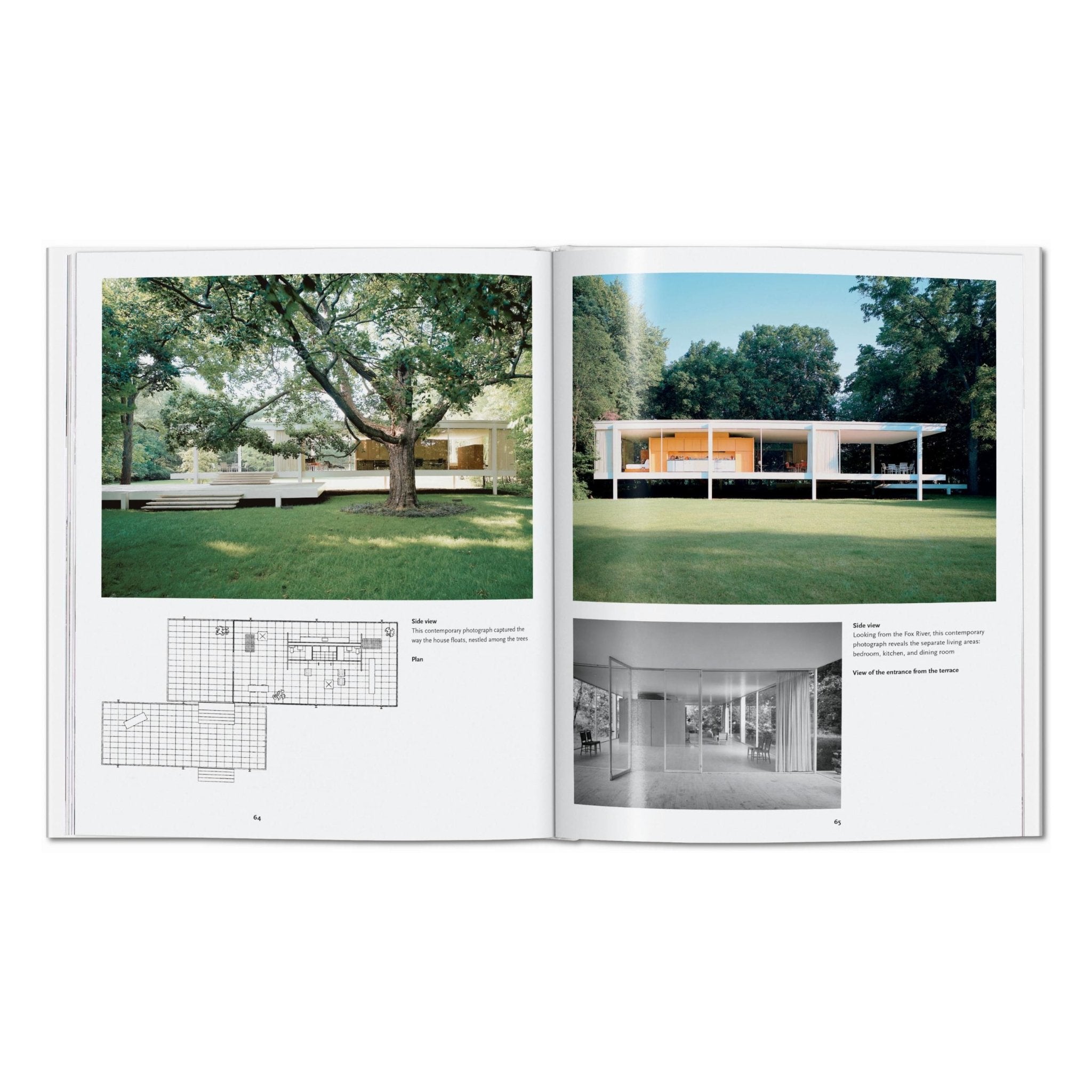 Mies van der Rohe (English)-POPvault