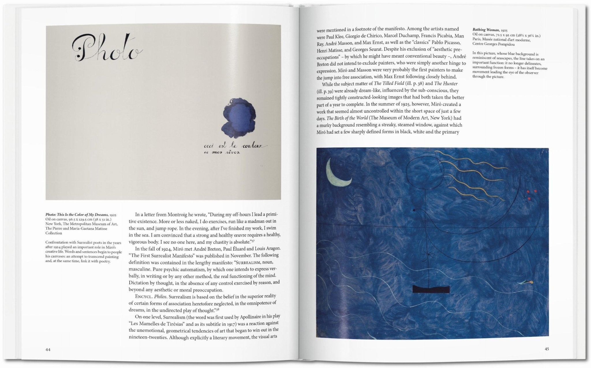 Miró (English) - POPvault