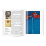 Mondrian (English)-POPvault