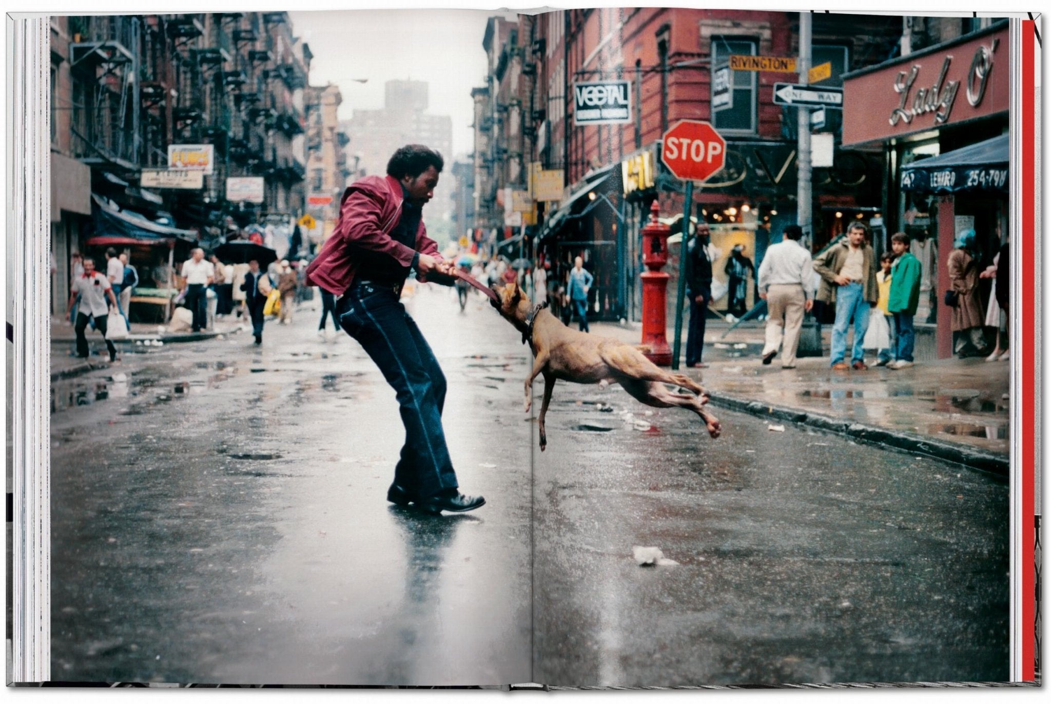 New York. Portrait of a City (English) - POPvault
