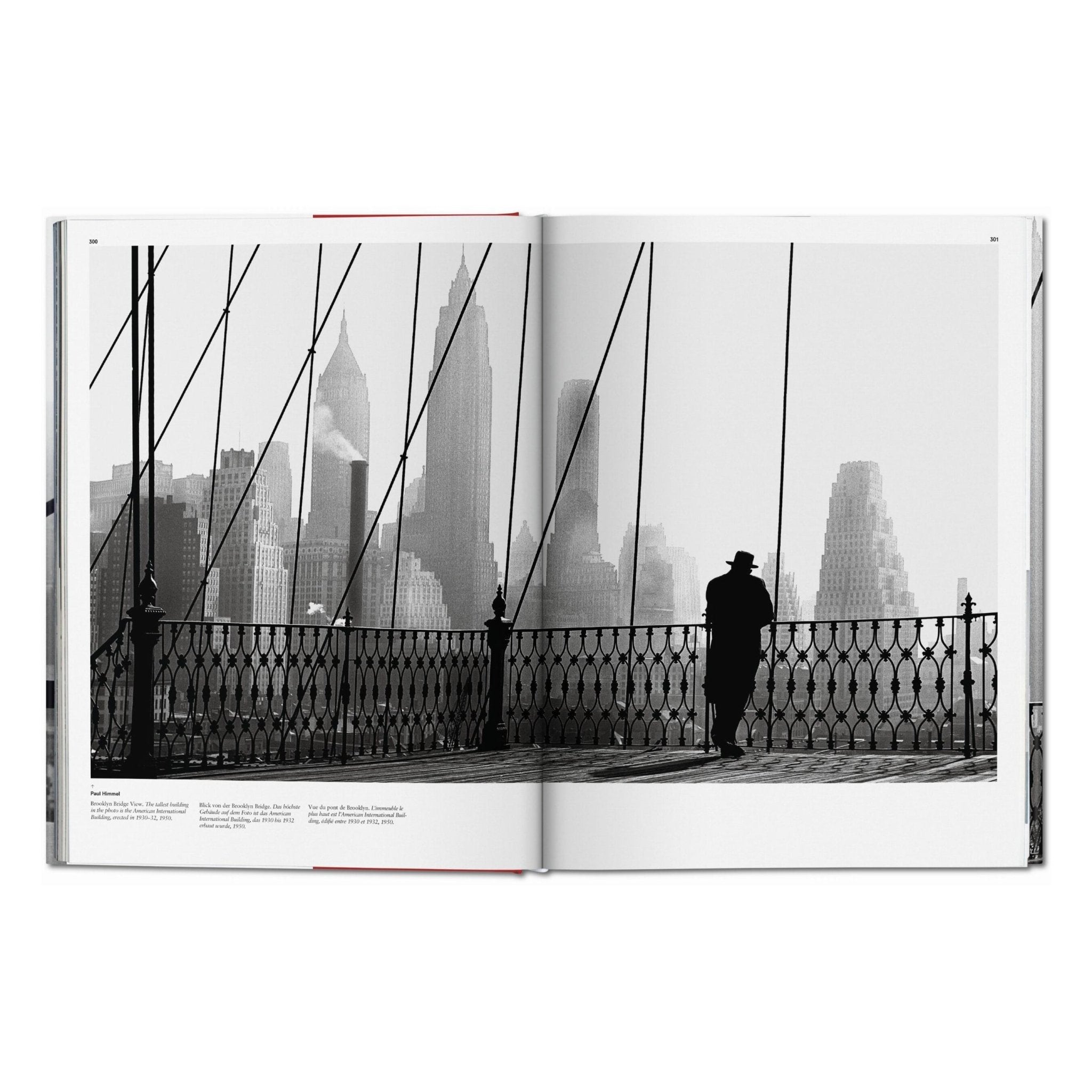 New York. Portrait of a City (German, French, English)-POPvault
