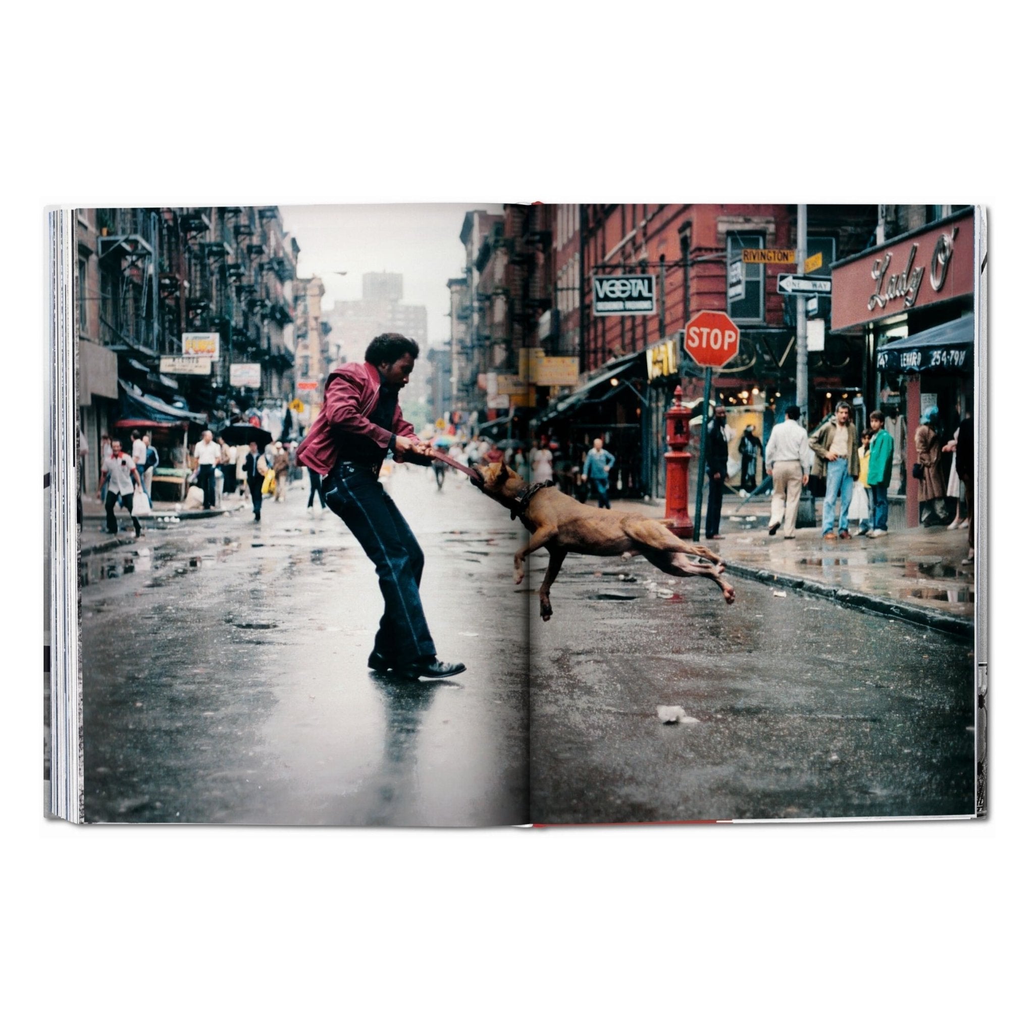 New York. Portrait of a City (German, French, English)-POPvault