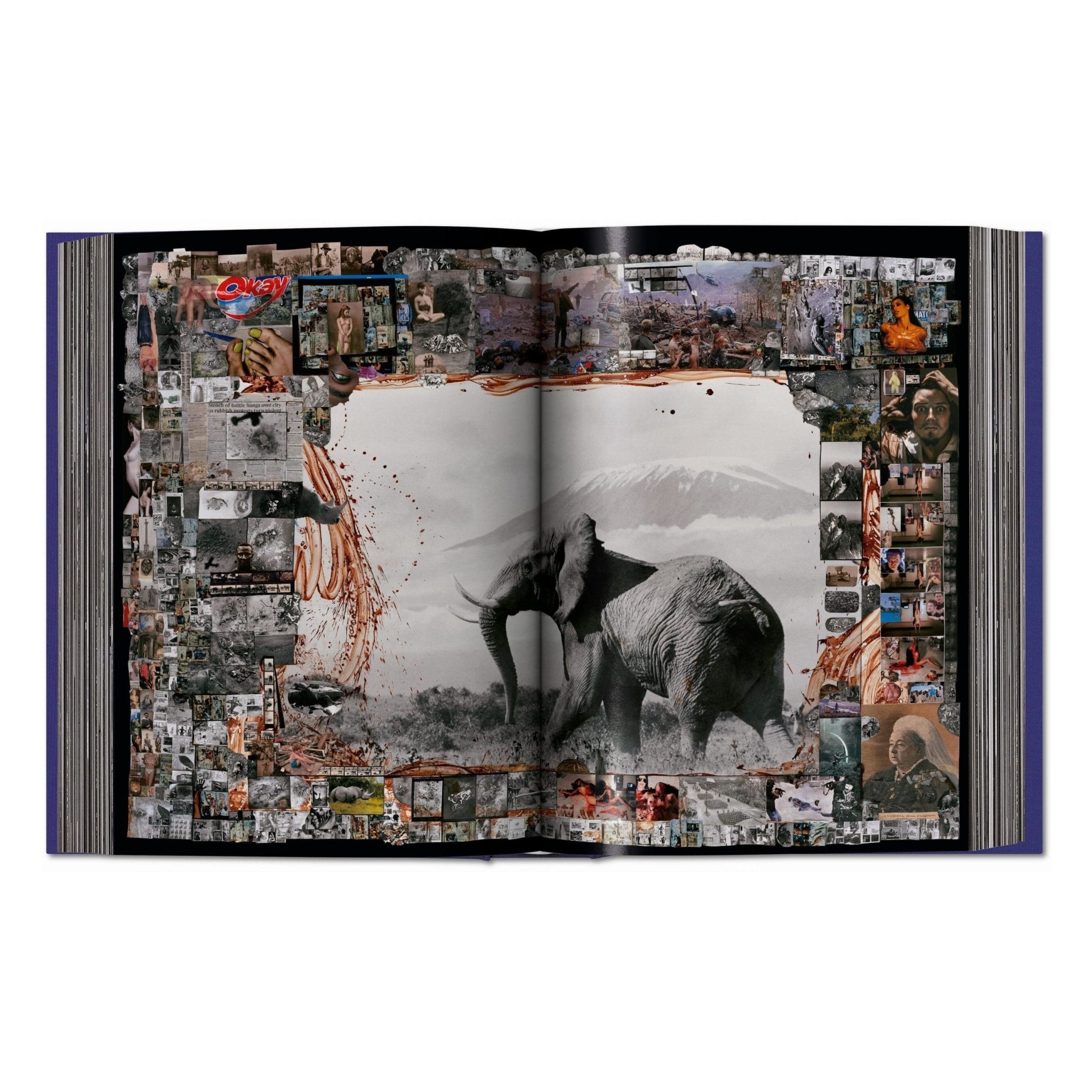 Peter Beard (German, French, English)-POPvault