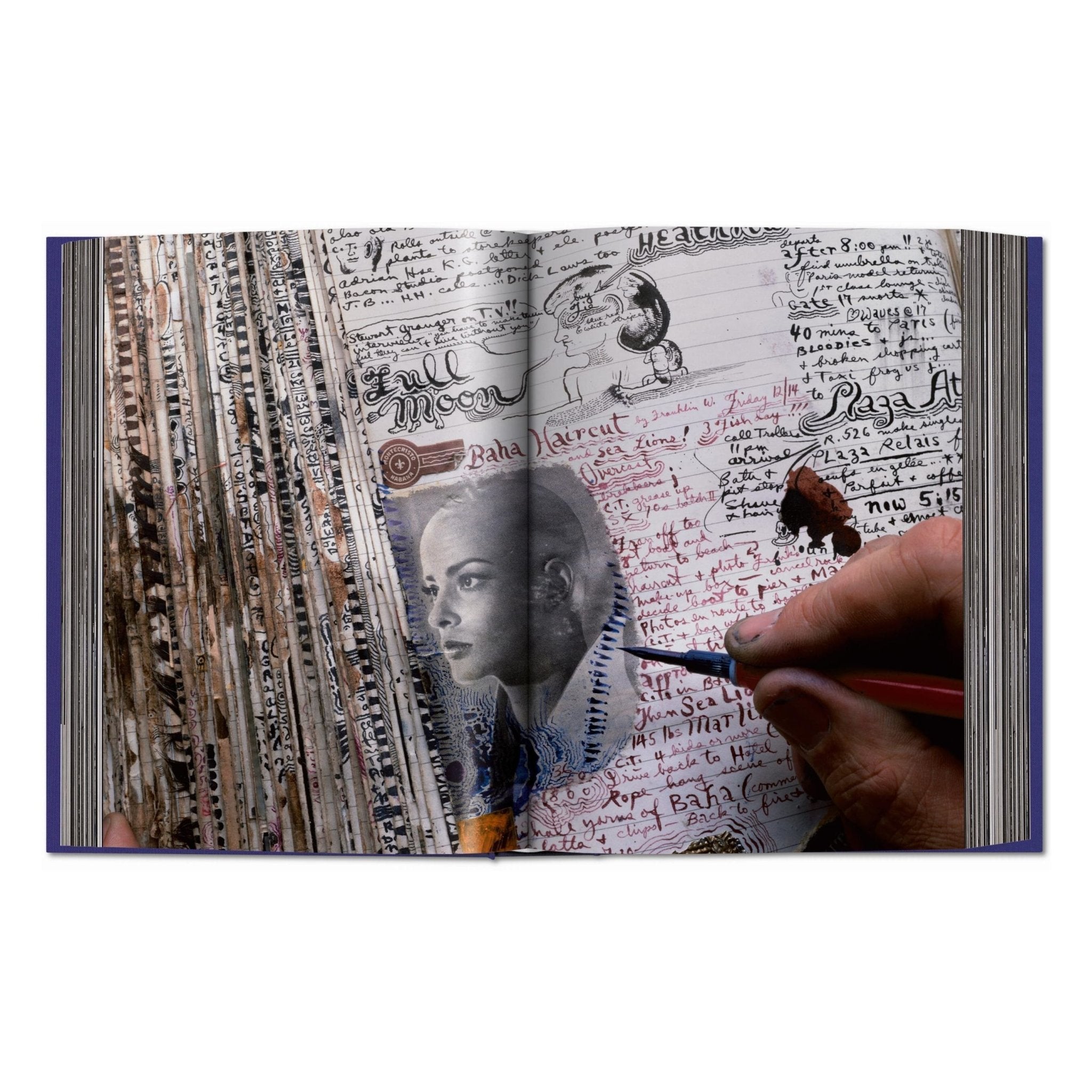 Peter Beard (German, French, English)-POPvault