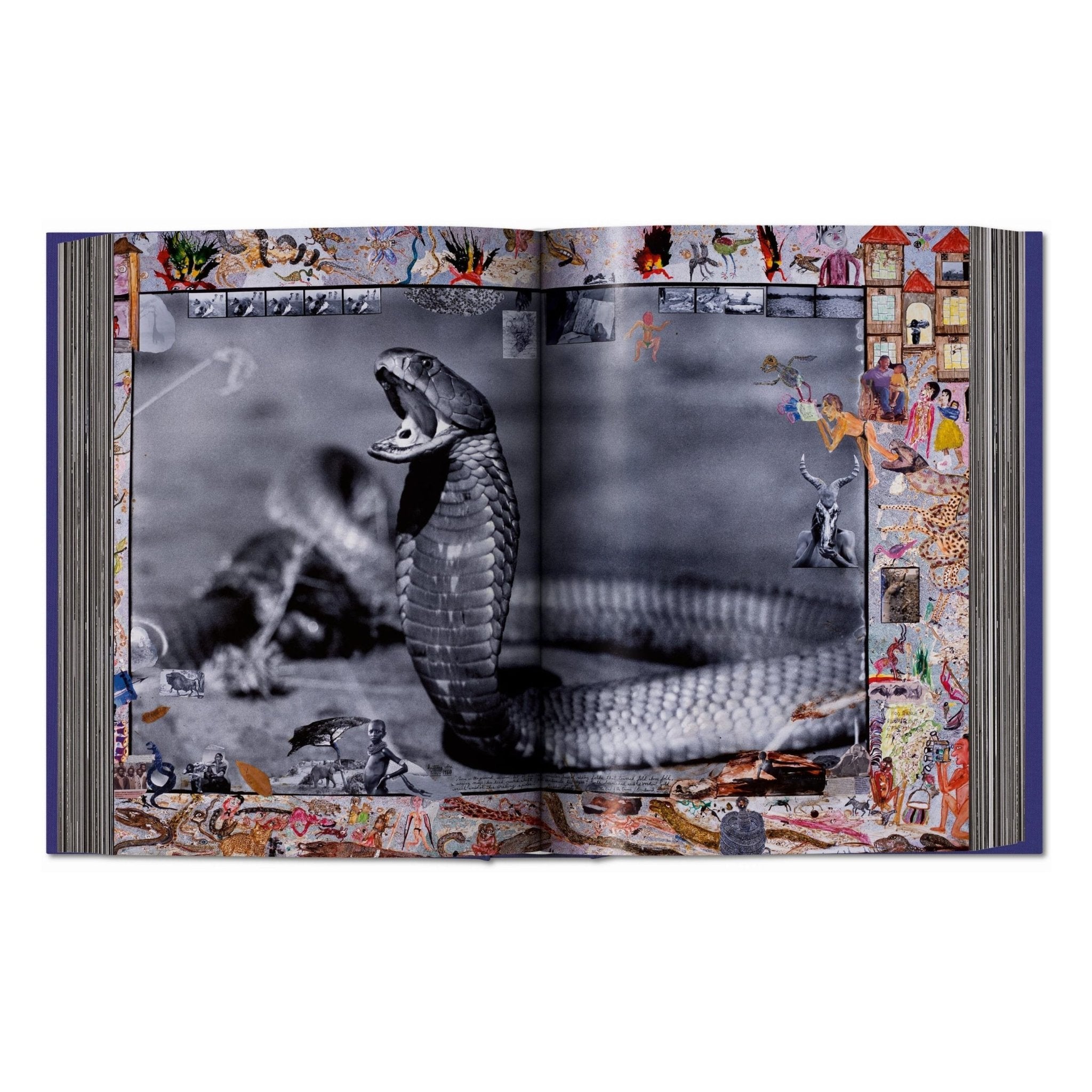 Peter Beard (German, French, English)-POPvault