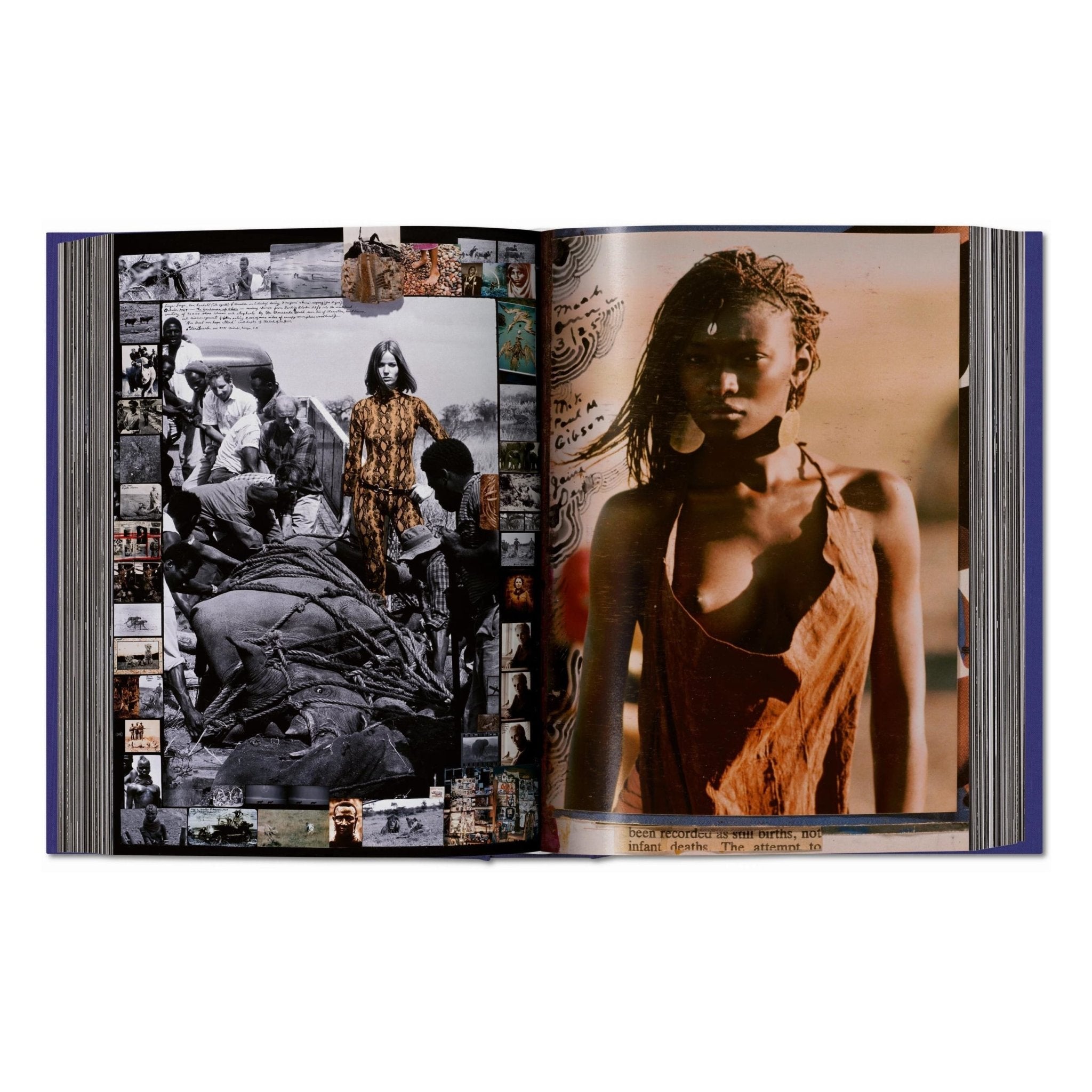 Peter Beard (German, French, English)-POPvault