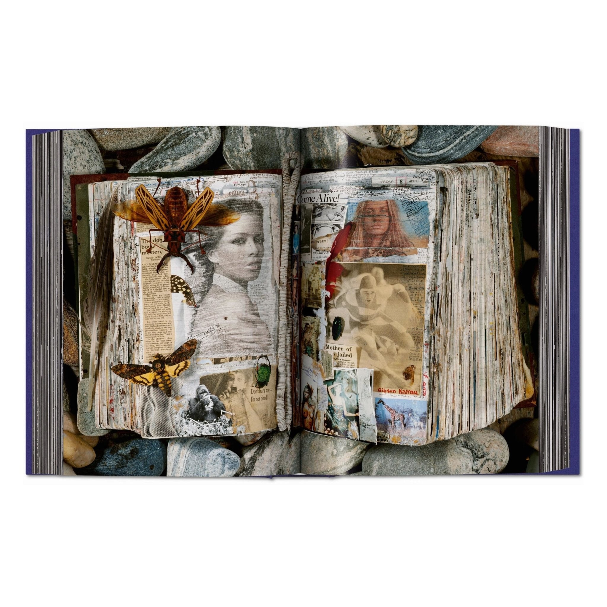 Peter Beard (German, French, English)-POPvault