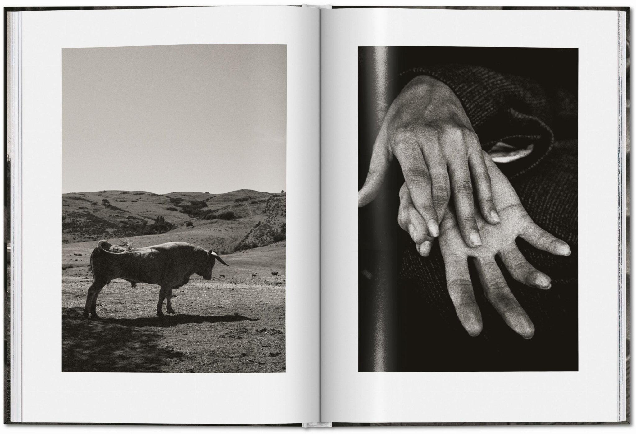 Peter Lindbergh. Untold Stories (English) - POPvault