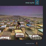 Pink Floyd - A Momentary Lapse of Reason [Vinyl] Vinyl Record - POPvault