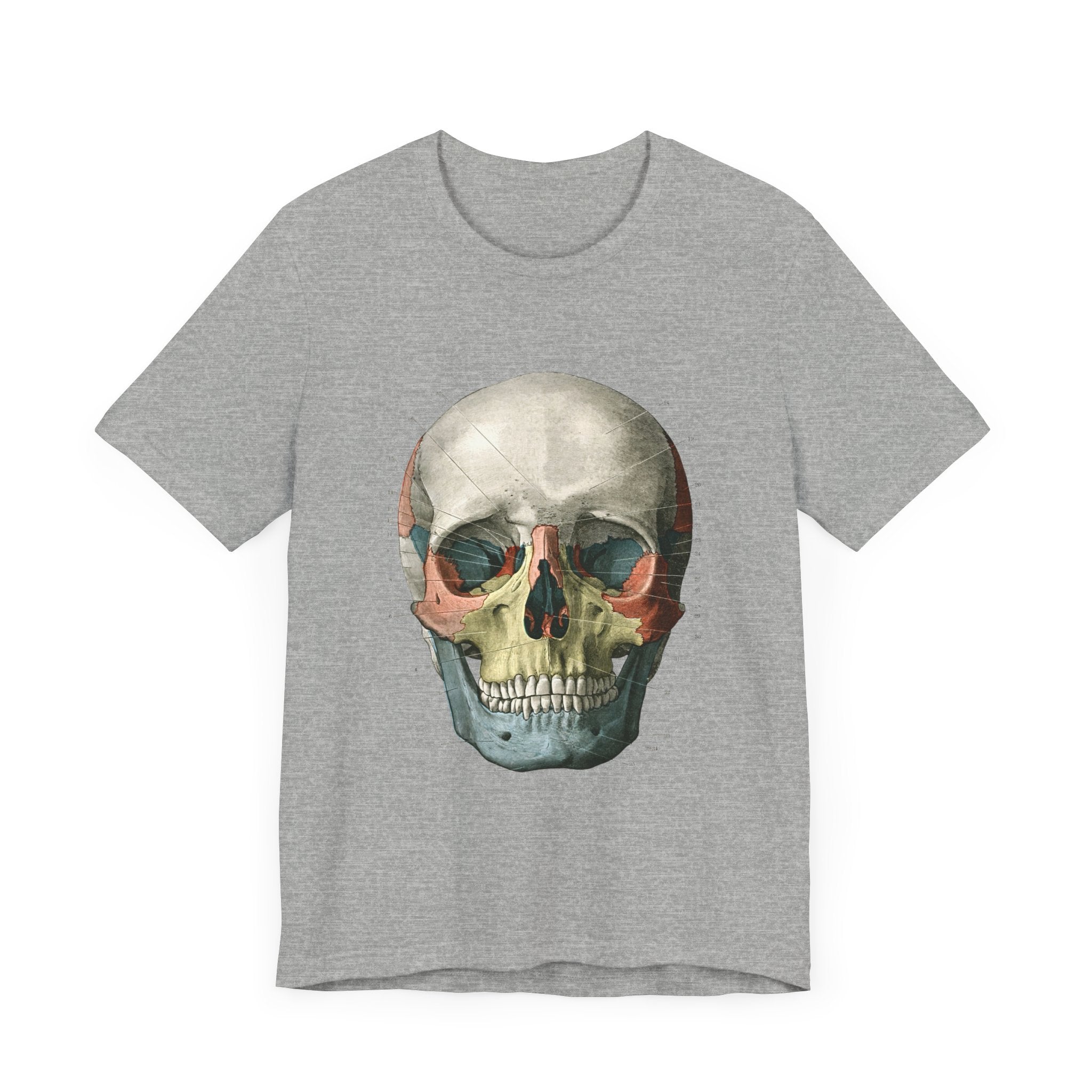 POP Culture Classics Scientific Skull Unisex Jersey Short Sleeve T-Shirt - POPvault