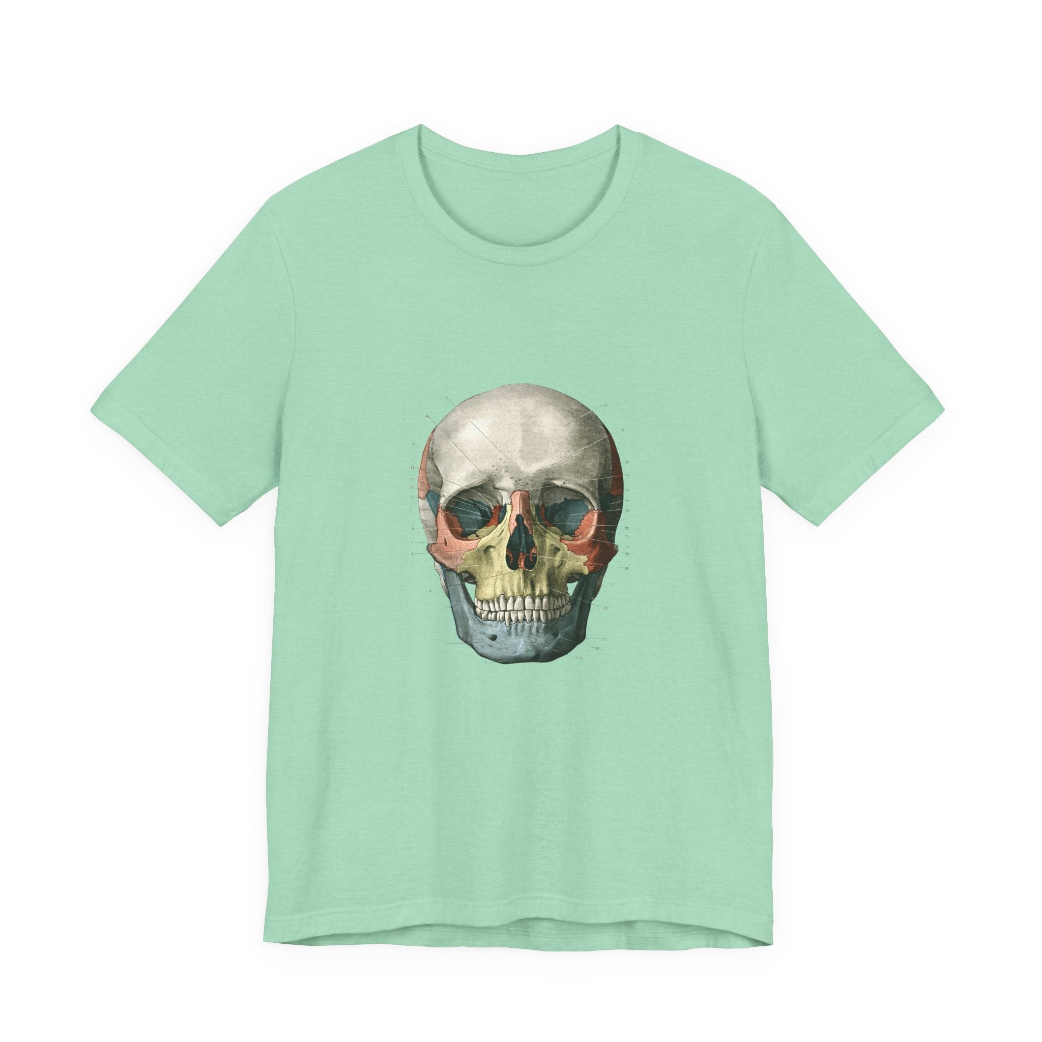 POP Culture Classics Scientific Skull Unisex Jersey Short Sleeve T-Shirt - POPvault