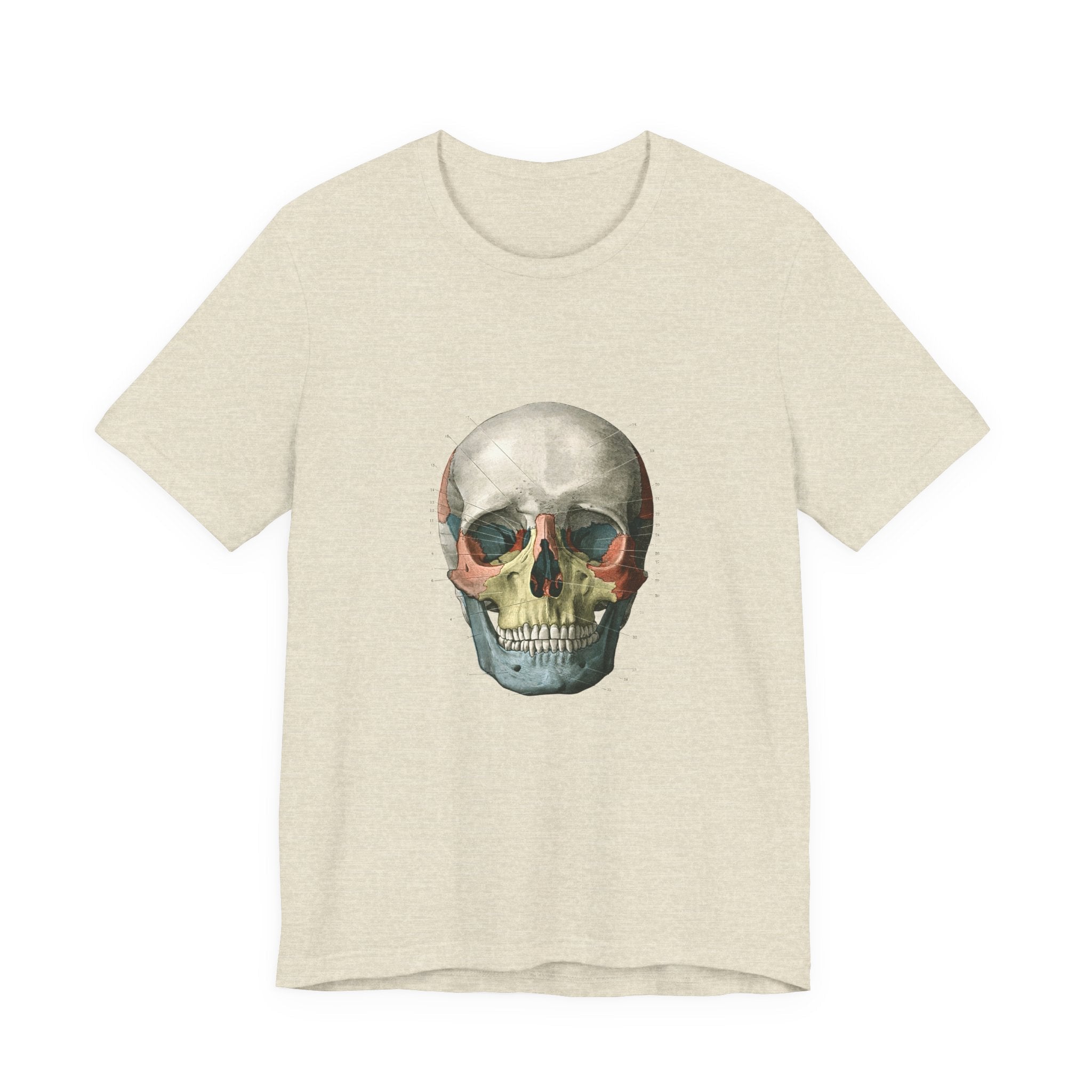 POP Culture Classics Scientific Skull Unisex Jersey Short Sleeve T-Shirt - POPvault