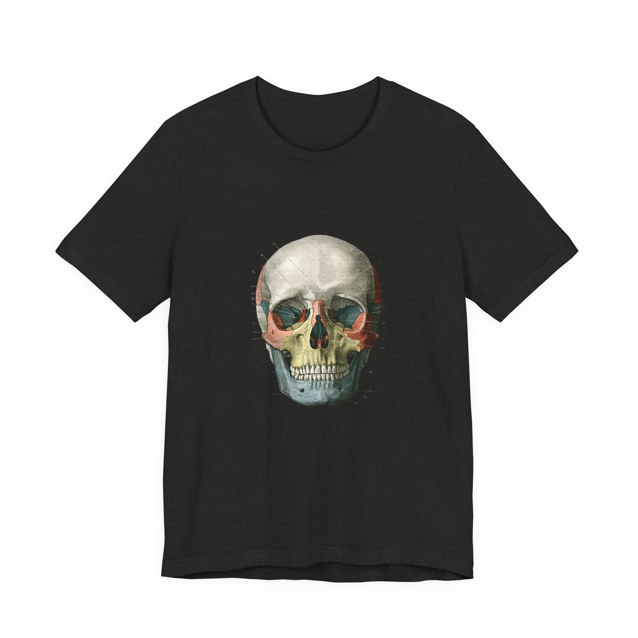 POP Culture Classics Scientific Skull Unisex Jersey Short Sleeve T-Shirt - POPvault