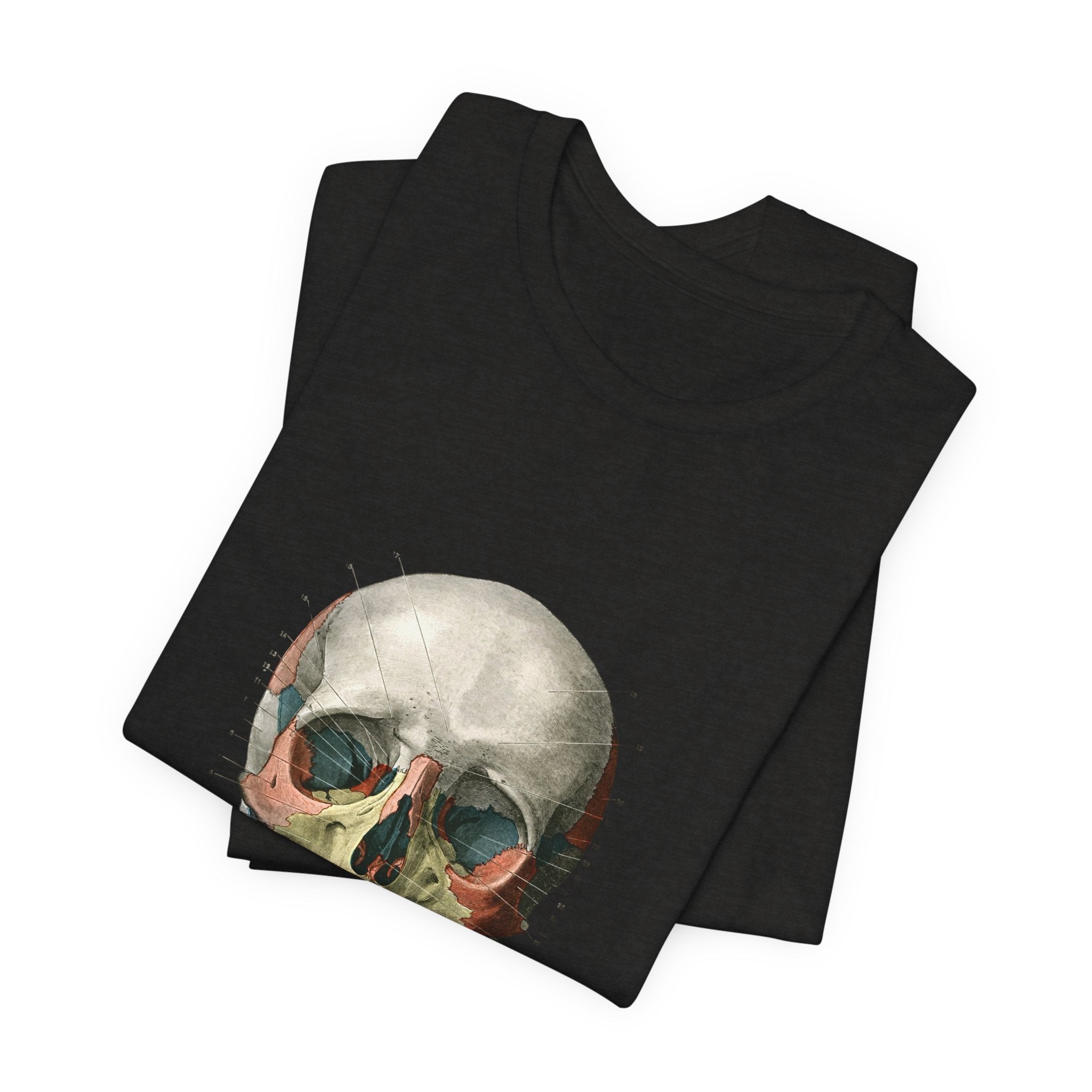 POP Culture Classics Scientific Skull Unisex Jersey Short Sleeve T-Shirt - POPvault