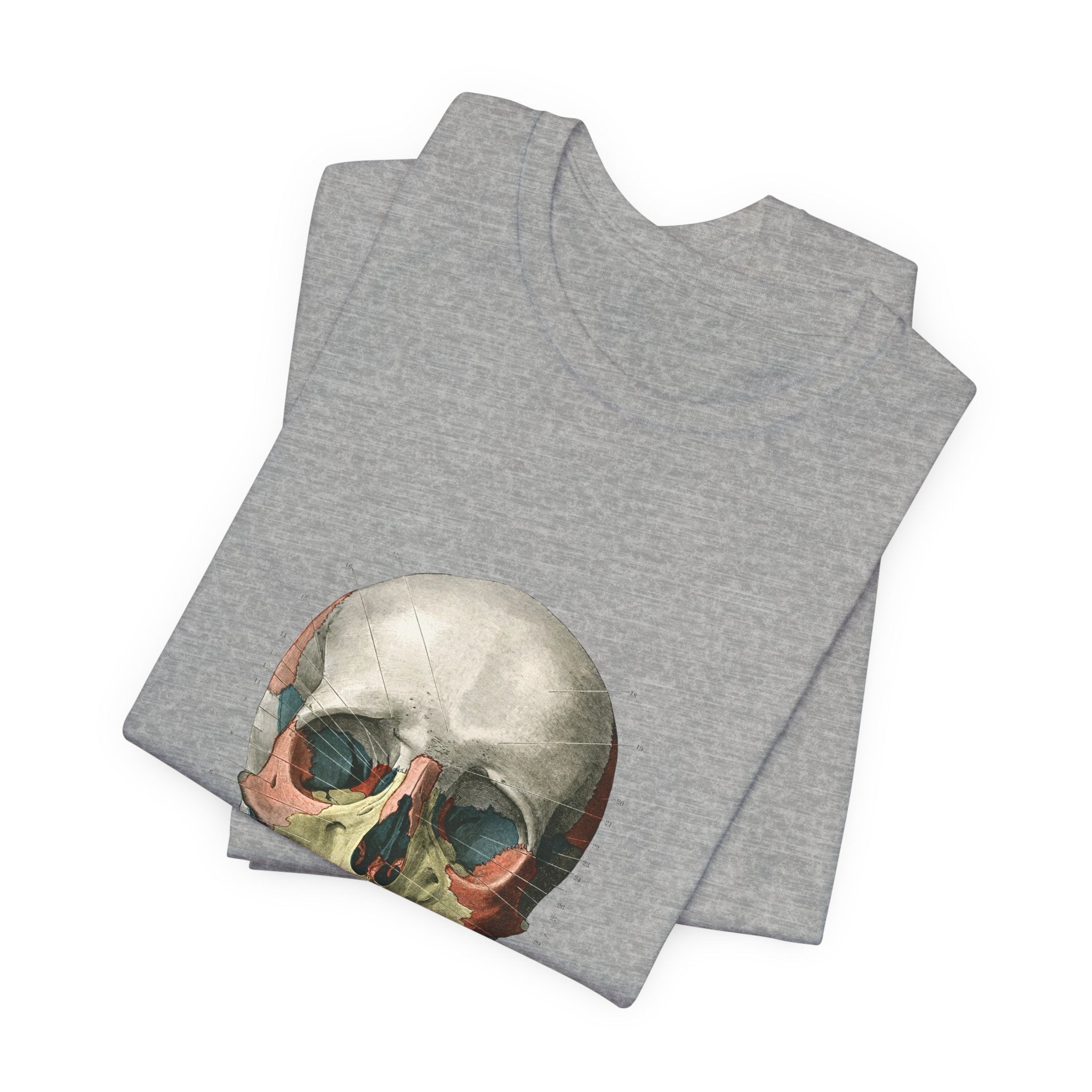 POP Culture Classics Scientific Skull Unisex Jersey Short Sleeve T-Shirt - POPvault