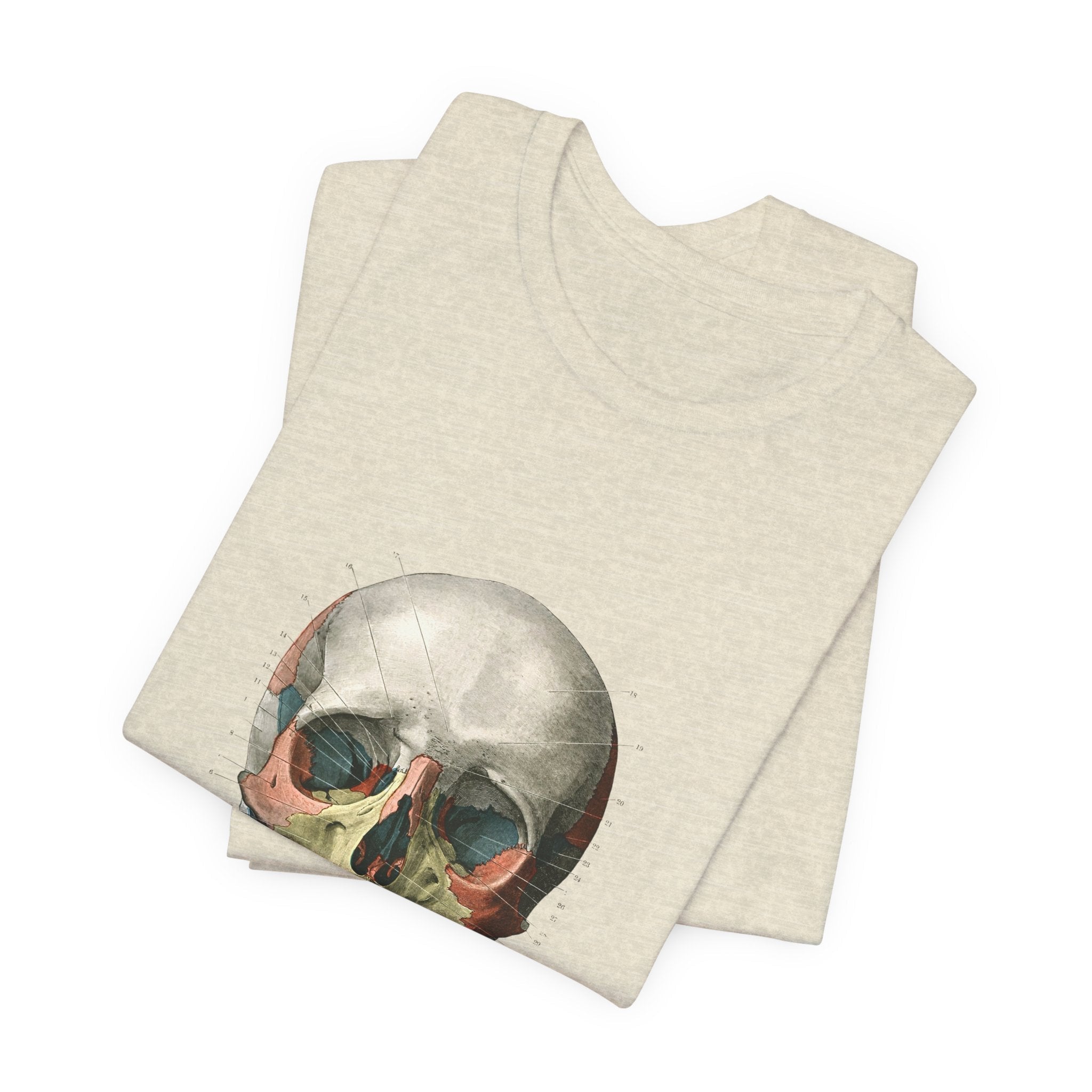 POP Culture Classics Scientific Skull Unisex Jersey Short Sleeve T-Shirt - POPvault