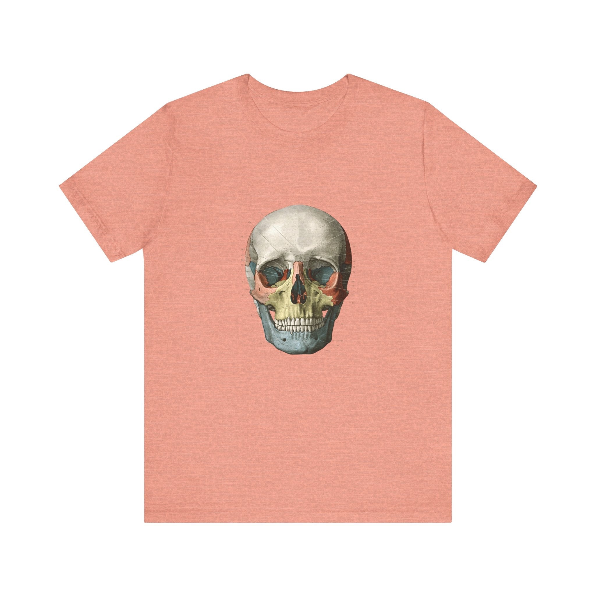 POP Culture Classics Scientific Skull Unisex Jersey Short Sleeve T-Shirt - POPvault