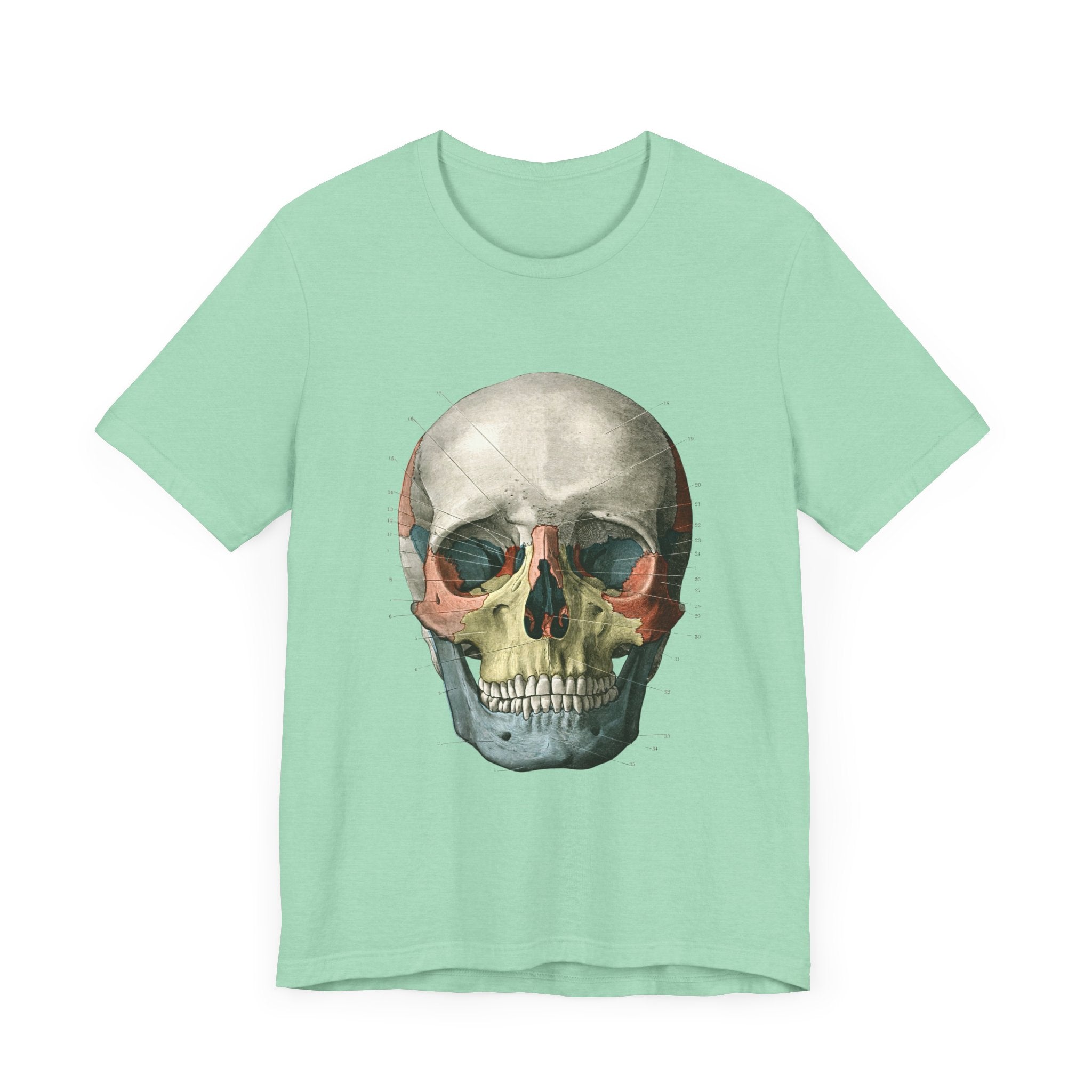 POP Culture Classics Scientific Skull Unisex Jersey Short Sleeve T-Shirt - POPvault