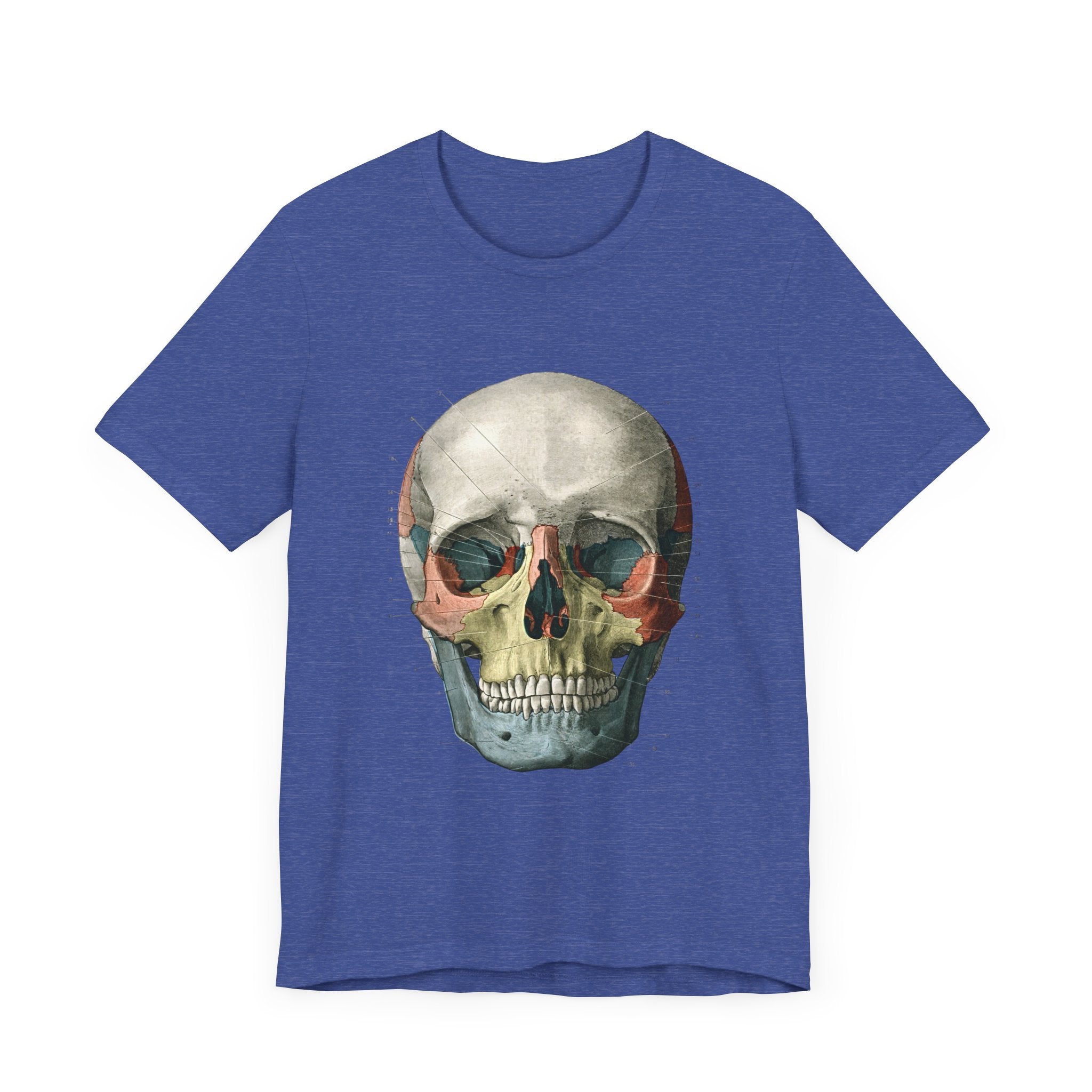 POP Culture Classics Scientific Skull Unisex Jersey Short Sleeve T-Shirt - POPvault