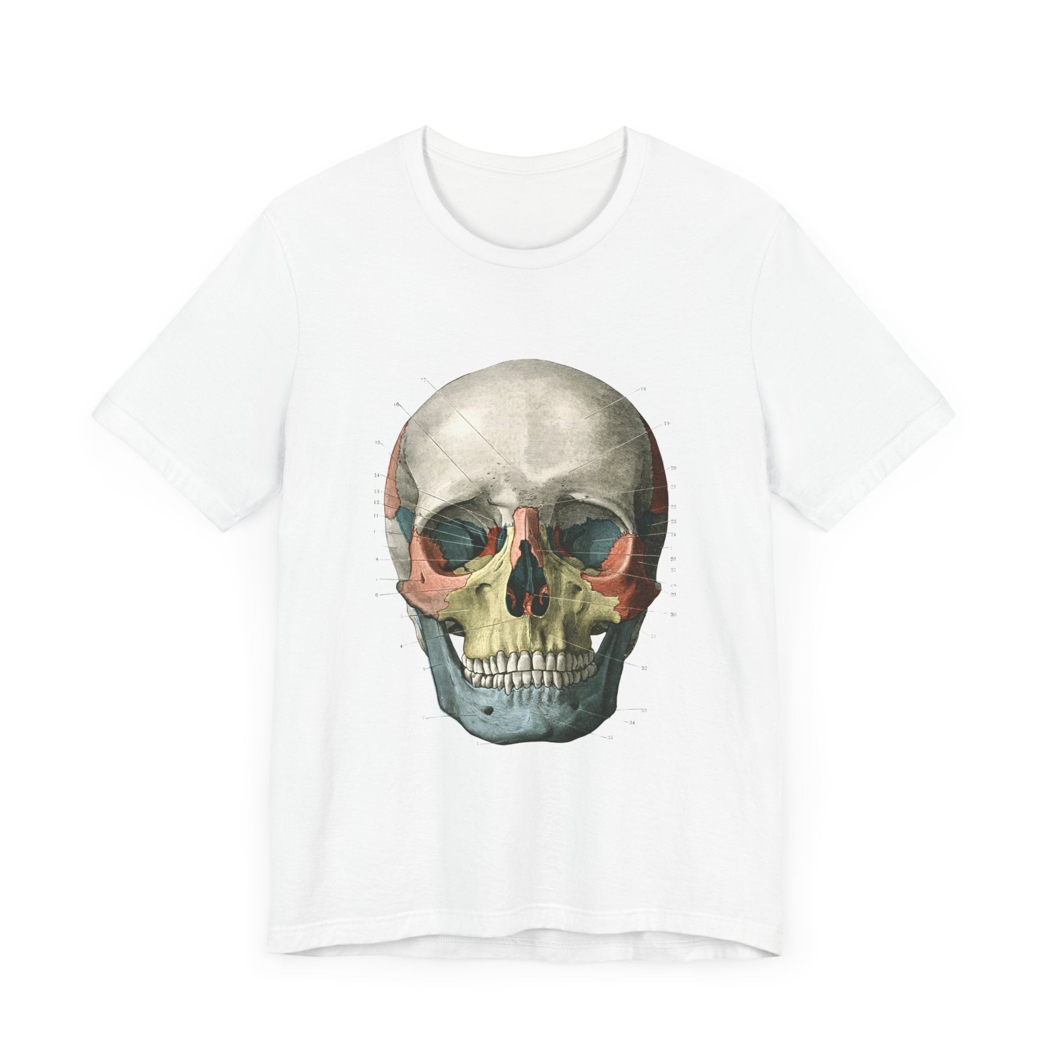 POP Culture Classics Scientific Skull Unisex Jersey Short Sleeve T-Shirt - POPvault