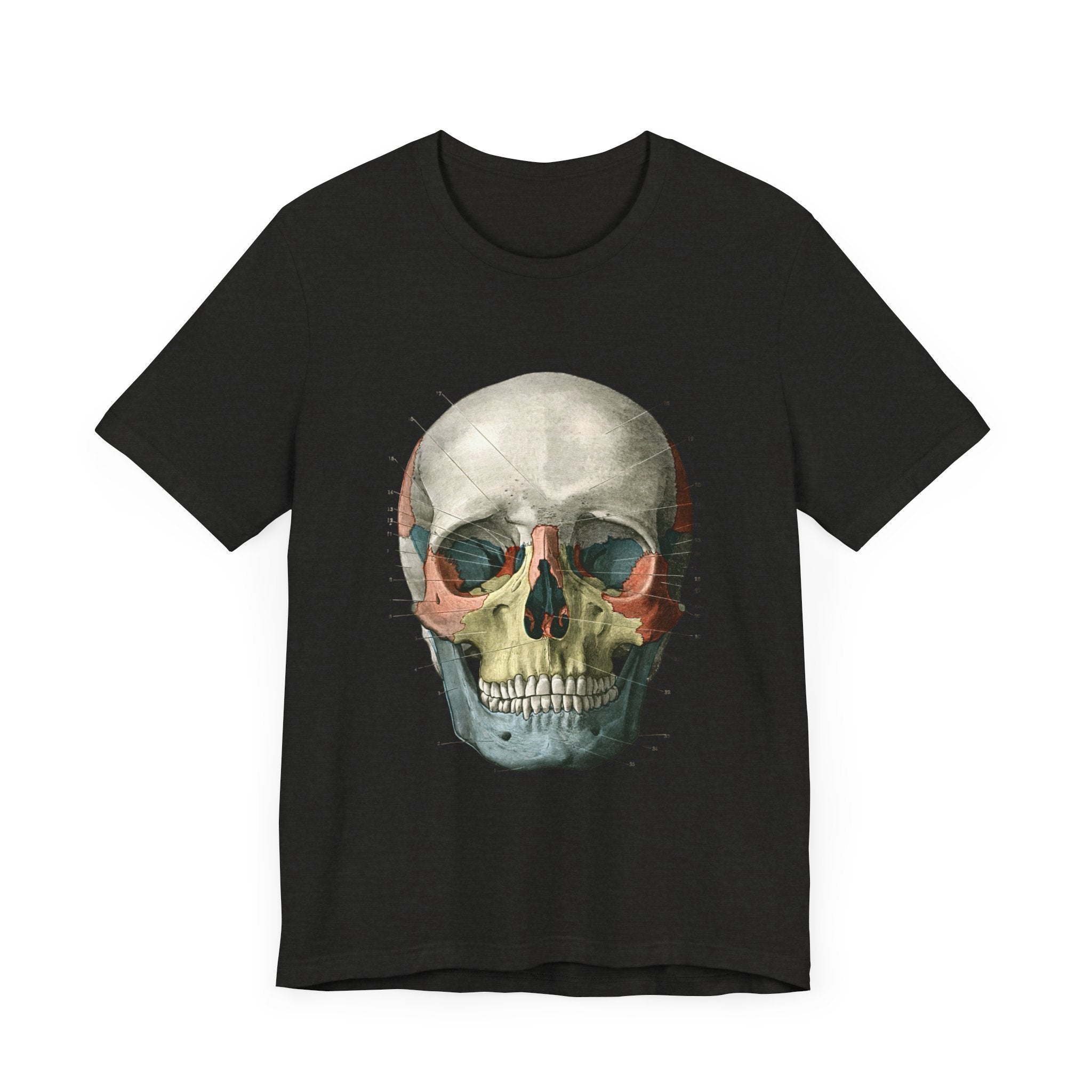 POP Culture Classics Scientific Skull Unisex Jersey Short Sleeve T-Shirt - POPvault
