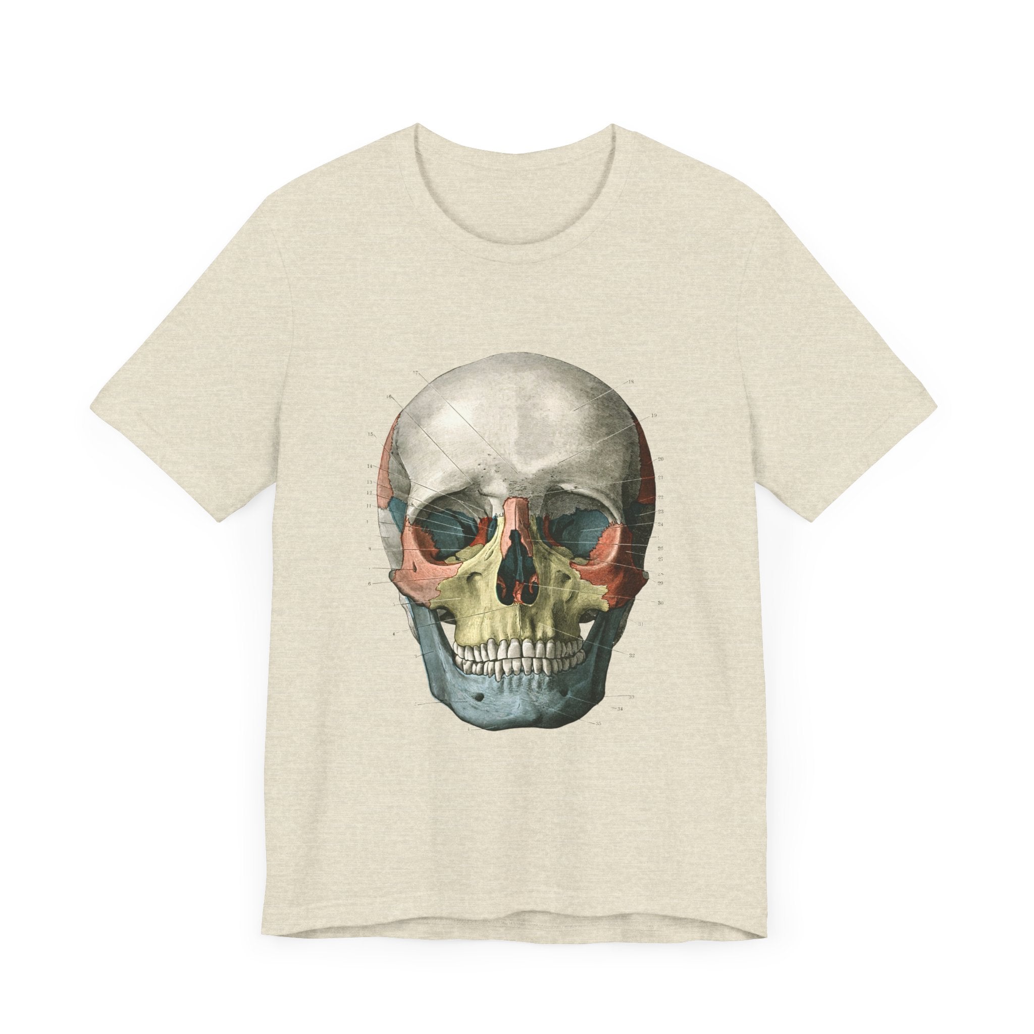 POP Culture Classics Scientific Skull Unisex Jersey Short Sleeve T-Shirt - POPvault