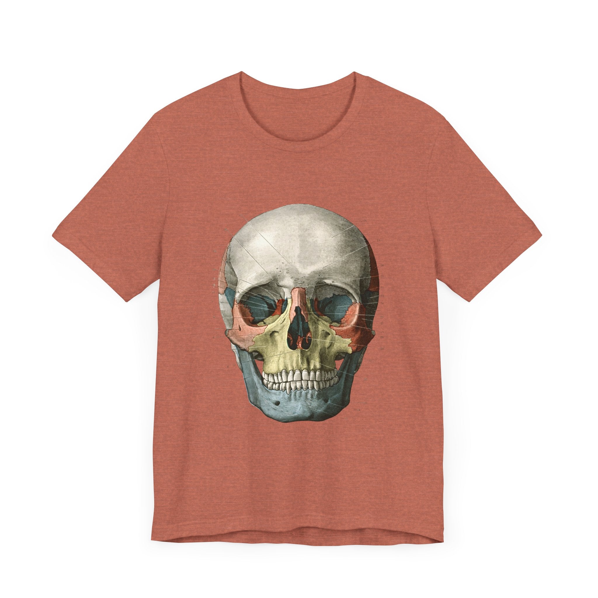 POP Culture Classics Scientific Skull Unisex Jersey Short Sleeve T-Shirt - POPvault