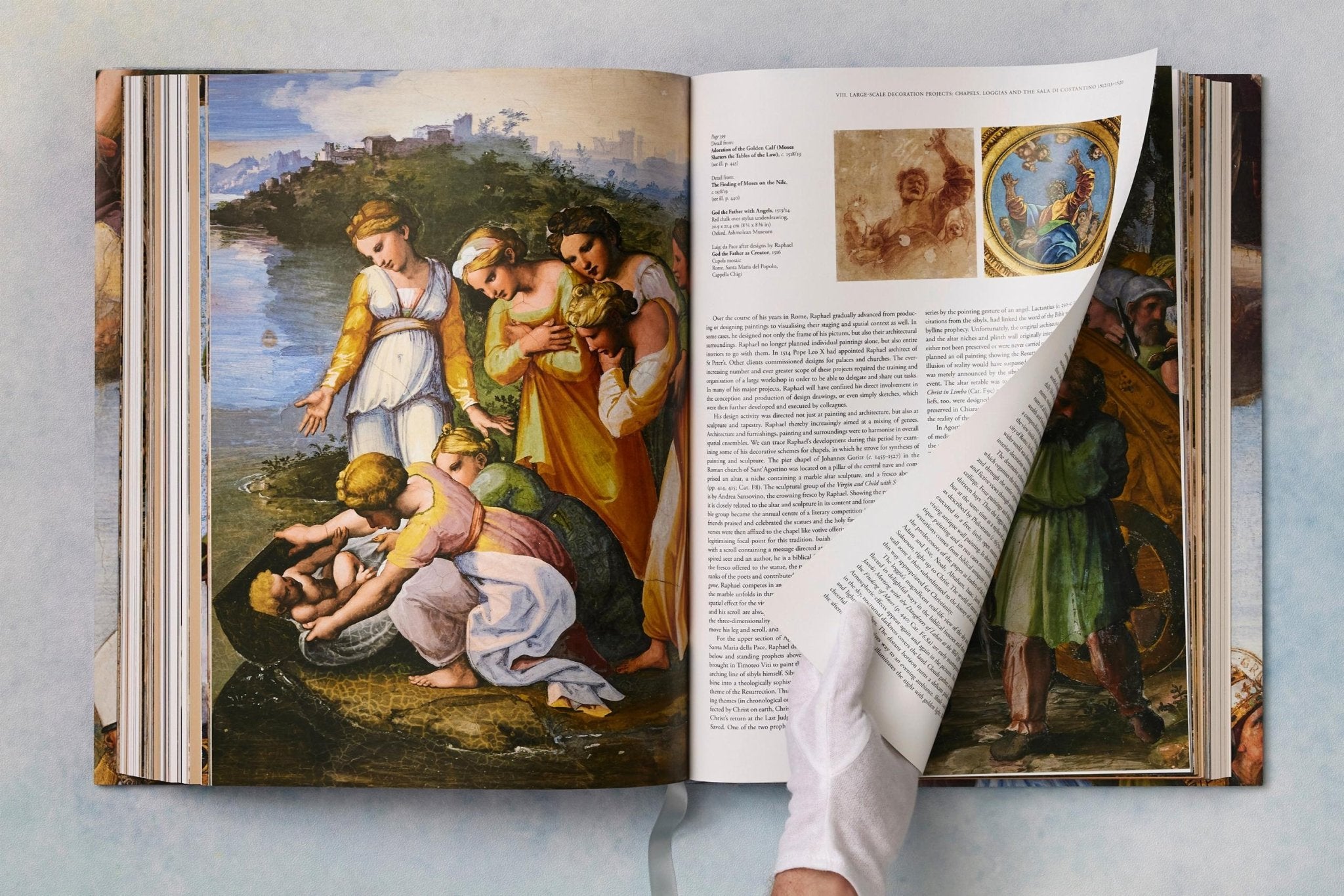 Raphael. The Complete Works. Paintings, Frescoes, Tapestries, Architecture (English) - POPvault