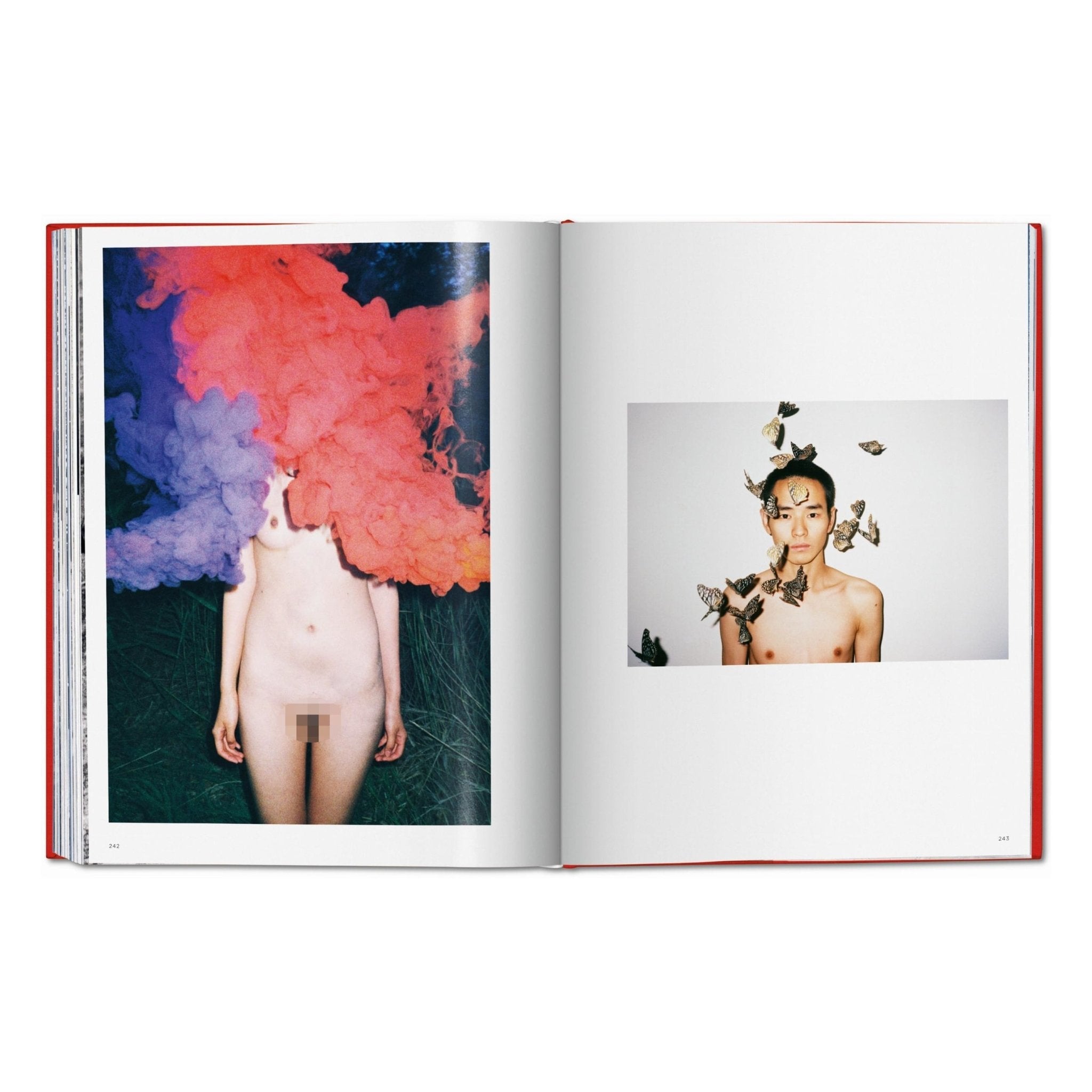 Ren Hang (German, French, English)-POPvault