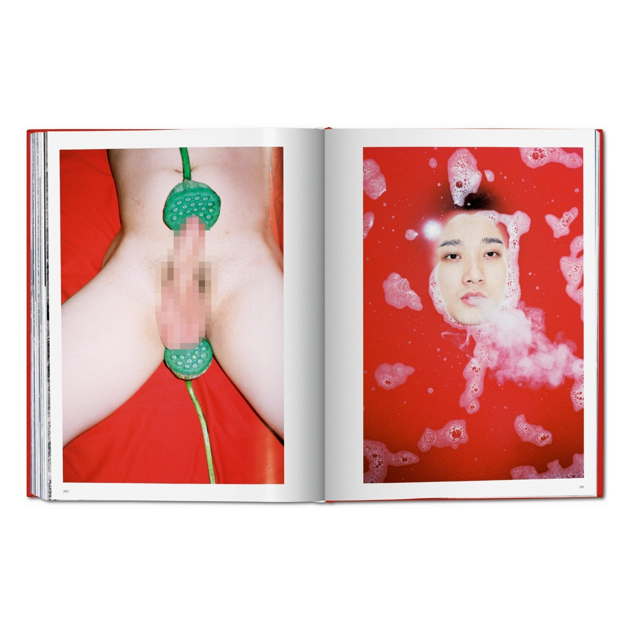Ren Hang (German, French, English)-POPvault