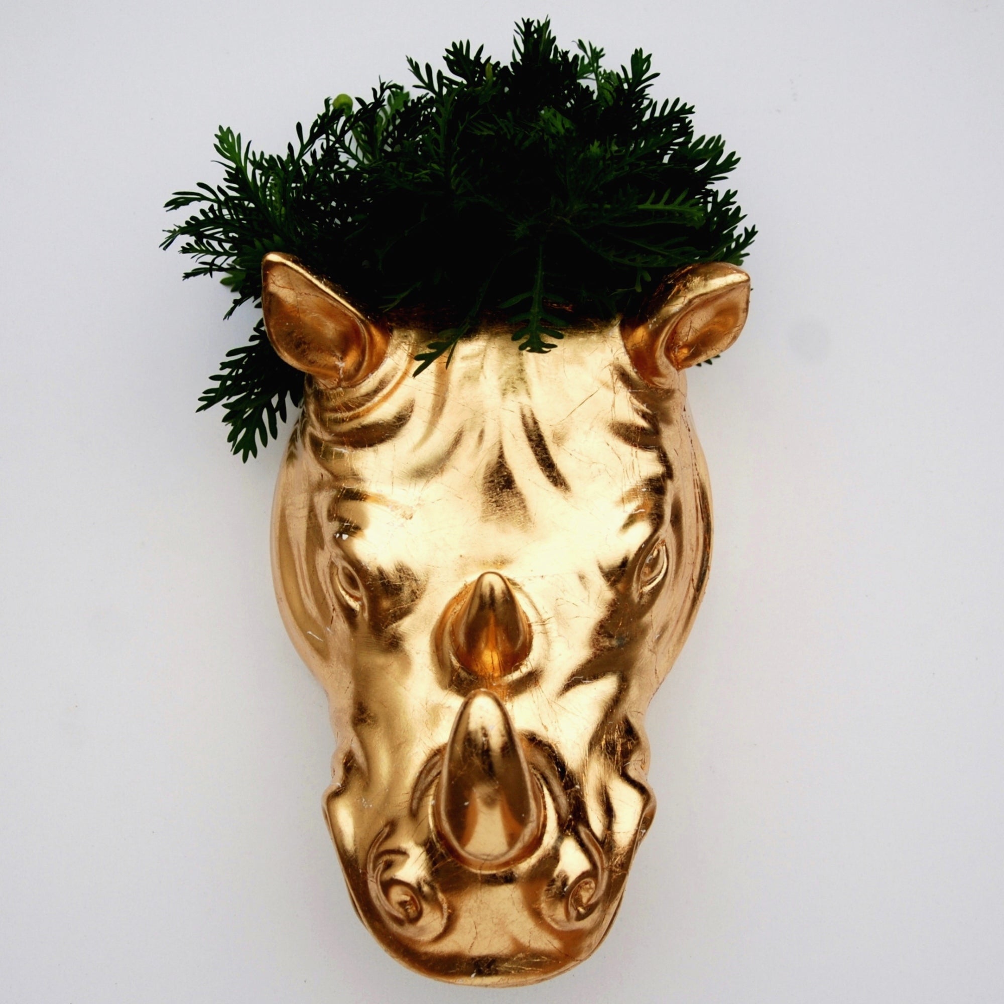 Rhino Shaped Gold Gilded Wall Planter - POPvault