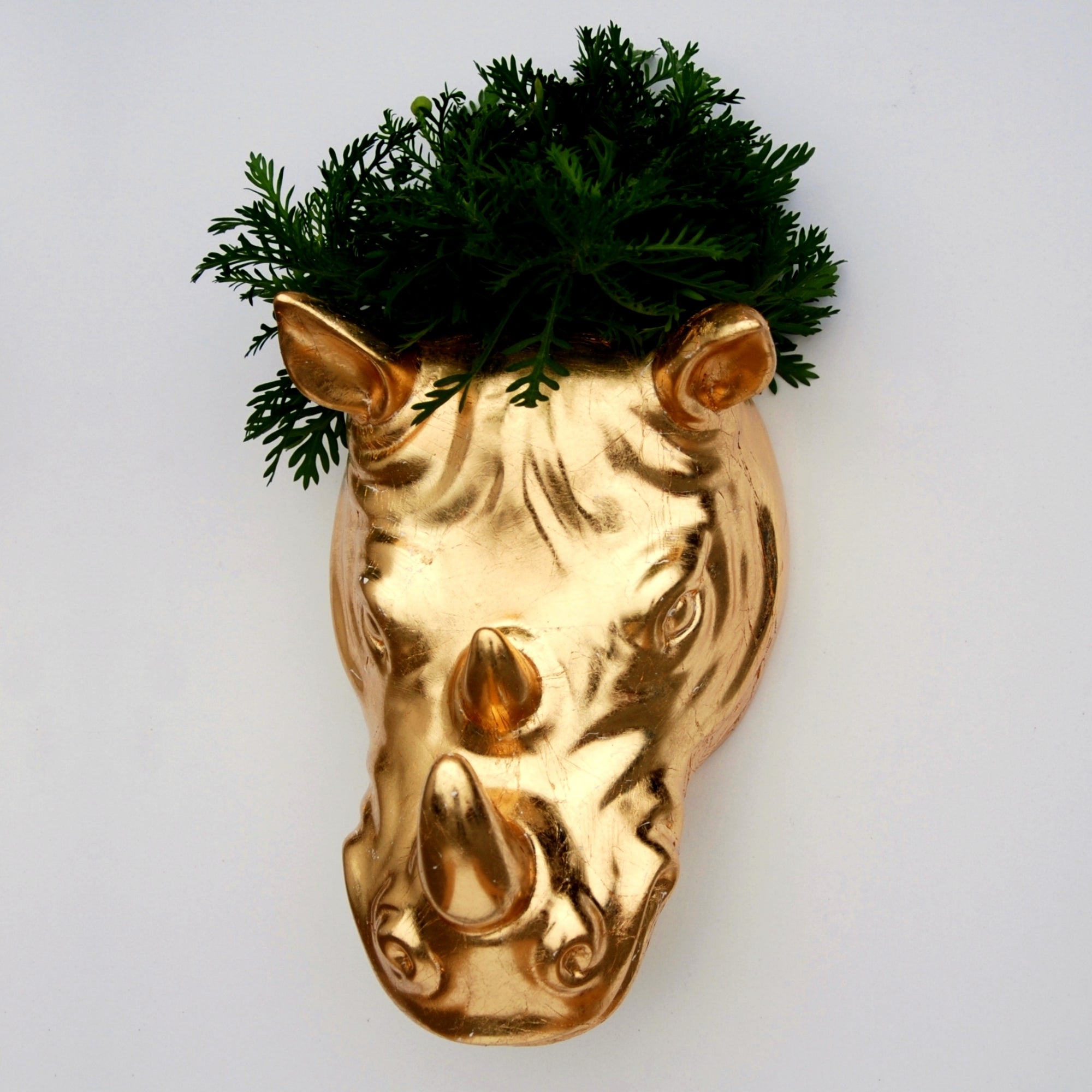 Rhino Shaped Gold Gilded Wall Planter - POPvault