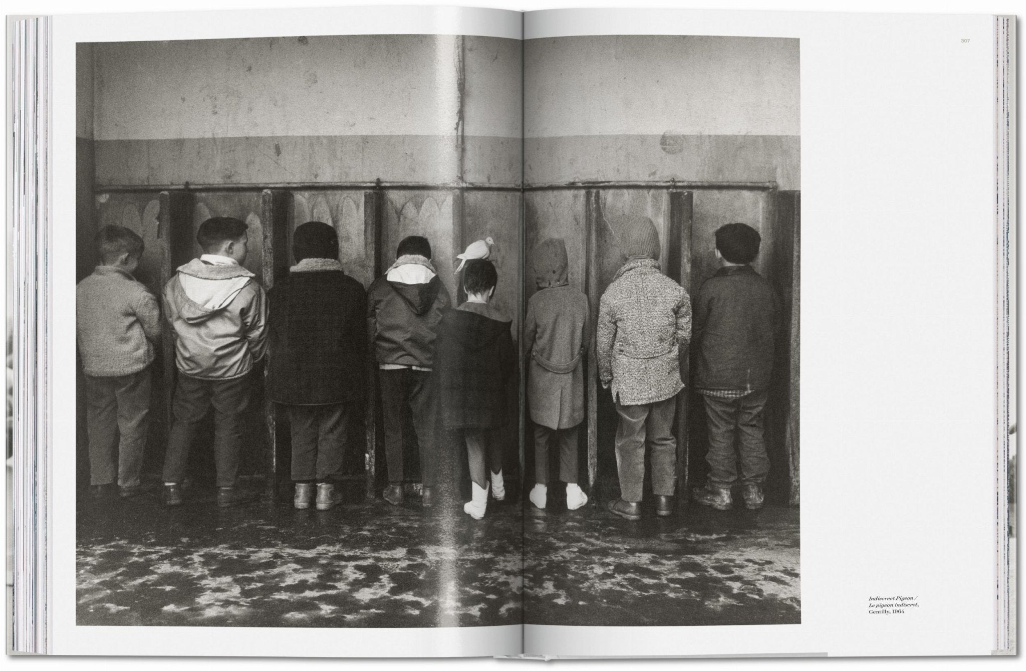 Robert Doisneau. Paris (German, French, English) - POPvault