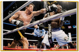 Rocky. The Complete Films (English) - POPvault