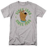 Scooby Doo Scooby 1969 Mens T Shirt Athletic Heather Officially Licensed - POPvault