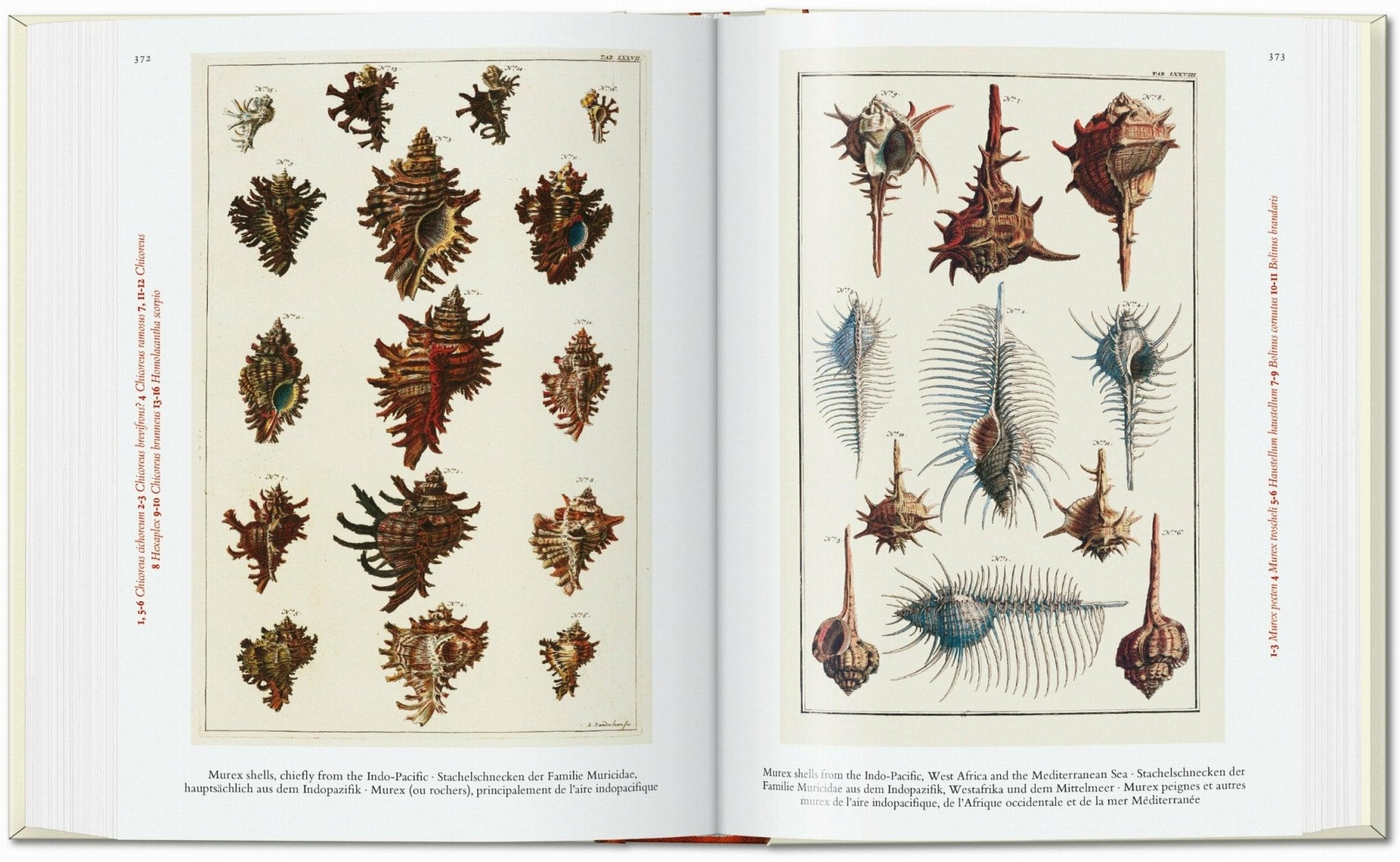Seba. Cabinet of Natural Curiosities. 45th Ed. (German, French, English) - POPvault