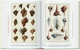 Seba. Cabinet of Natural Curiosities. 45th Ed. (German, French, English) - POPvault