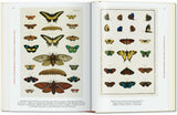 Seba. Cabinet of Natural Curiosities. 45th Ed. (German, French, English) - POPvault