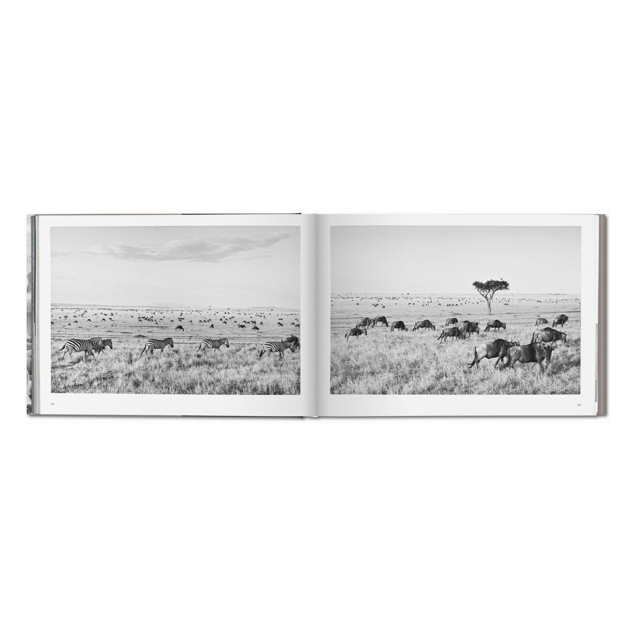 Sebastião Salgado. Africa (German, French, English)-POPvault