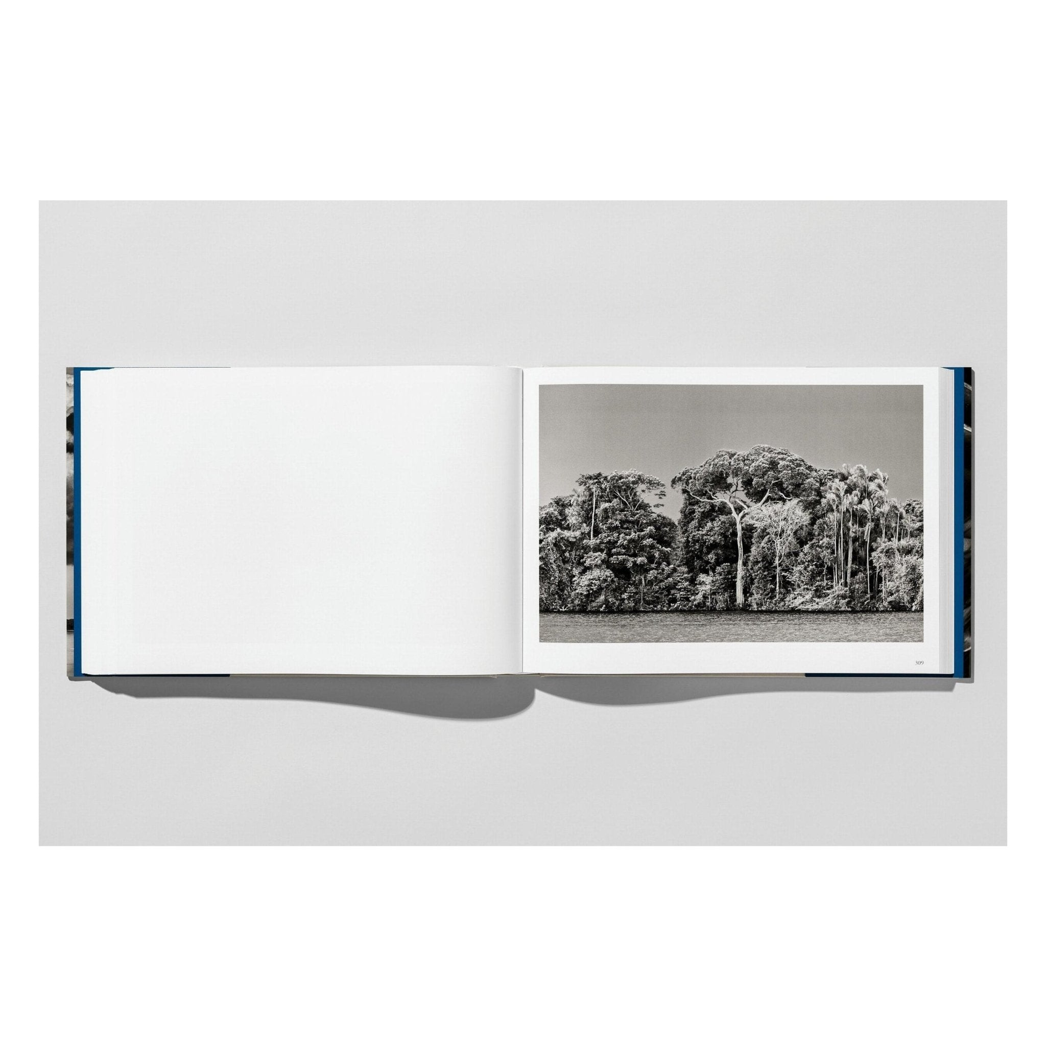 Sebastião Salgado. Amazônia (English)-POPvault