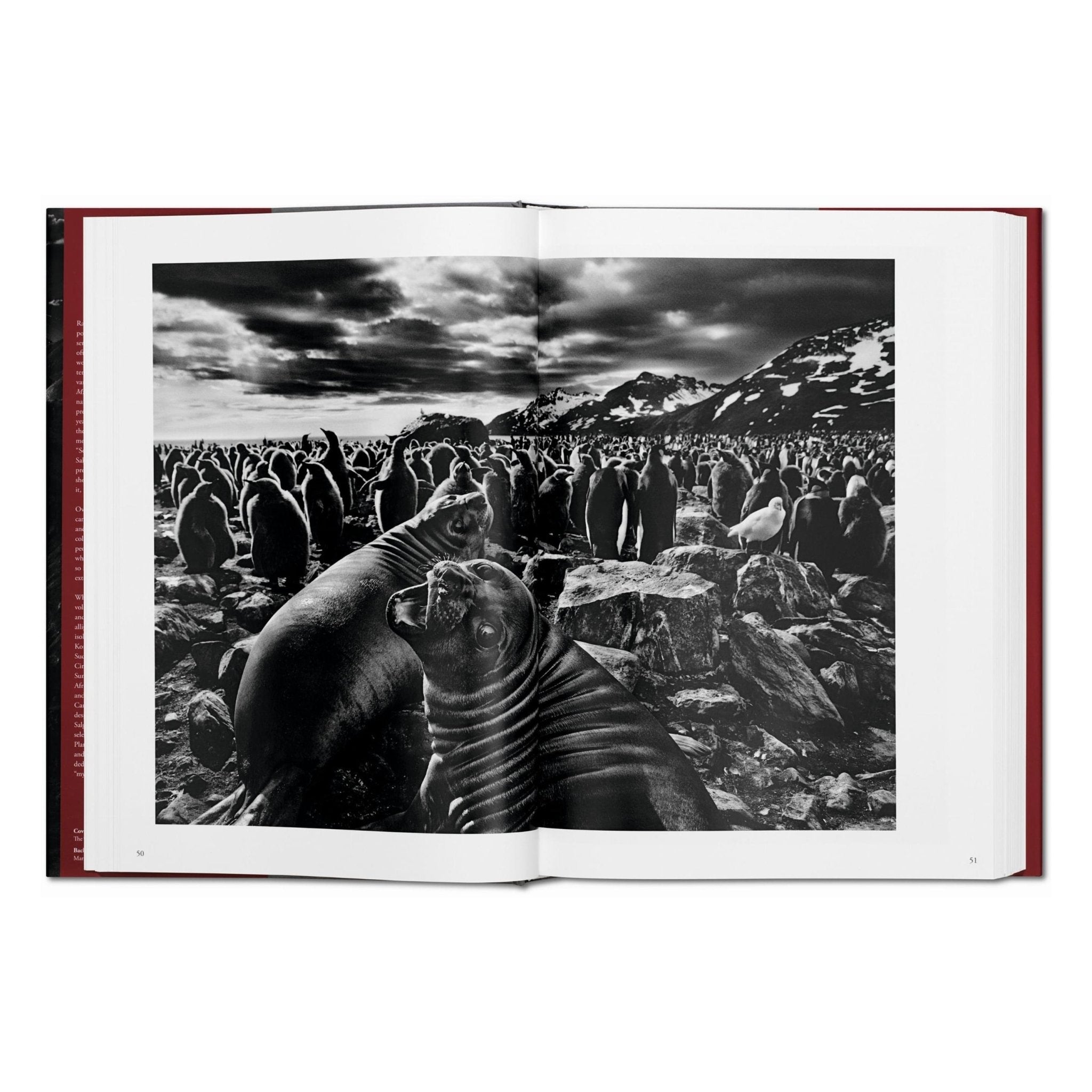 Sebastião Salgado. Genesis (English)-POPvault