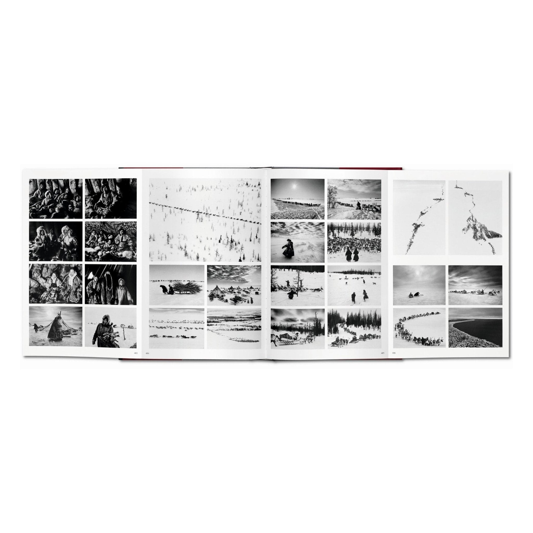 Sebastião Salgado. Genesis (English)-POPvault