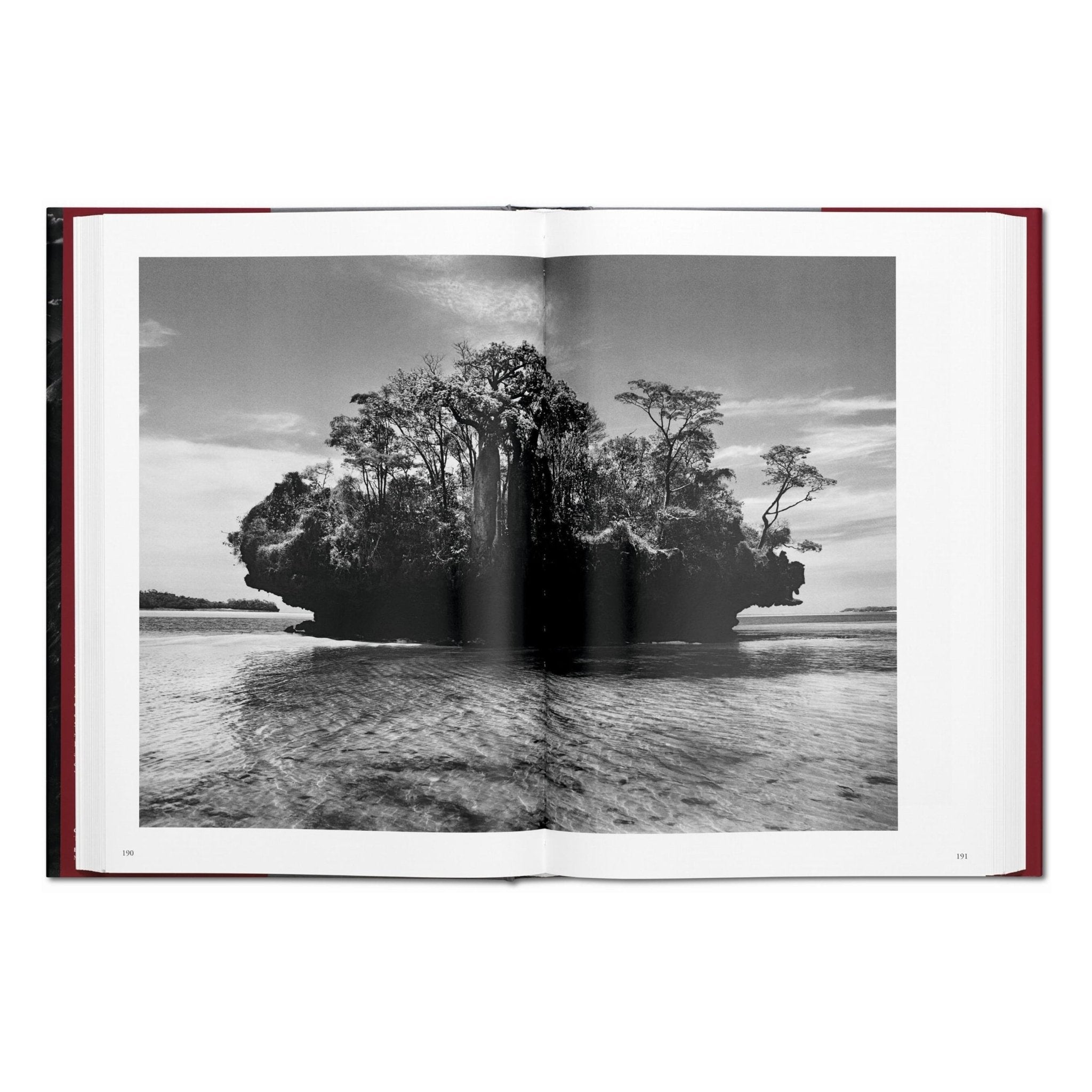 Sebastião Salgado. Genesis (English)-POPvault