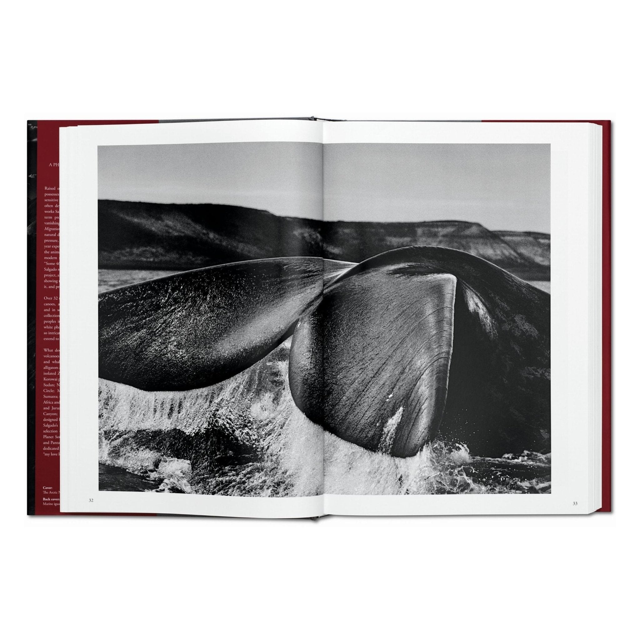 Sebastião Salgado. Genesis (English)-POPvault